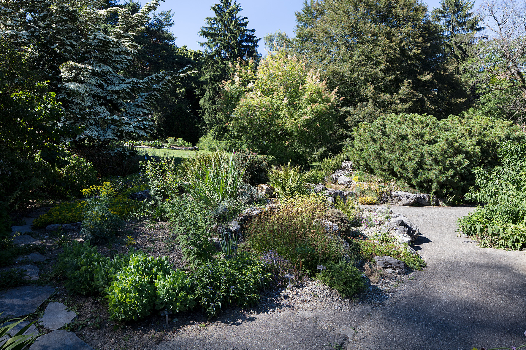 Jardin botanique alpin de Meyrin récompensé par le Prix Schulthess des jardins