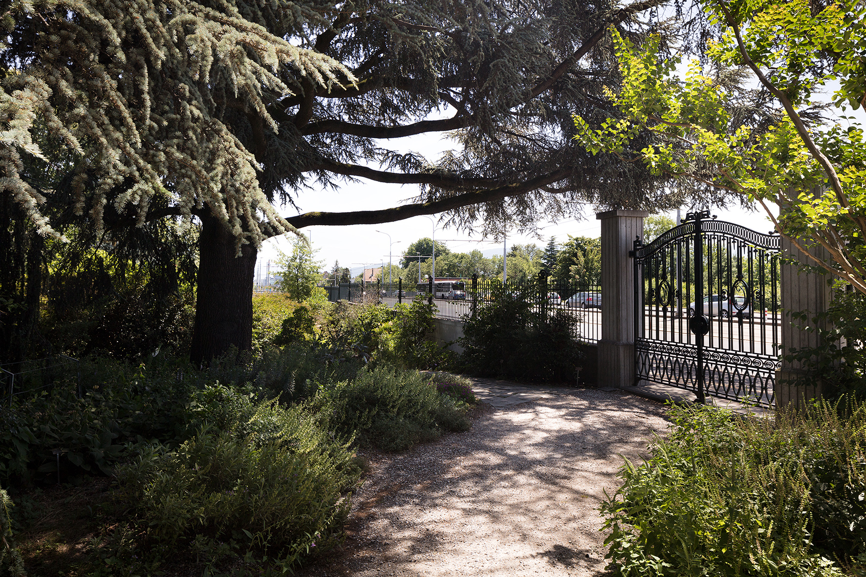 Jardin botanique alpin de Meyrin récompensé par le Prix Schulthess des jardins