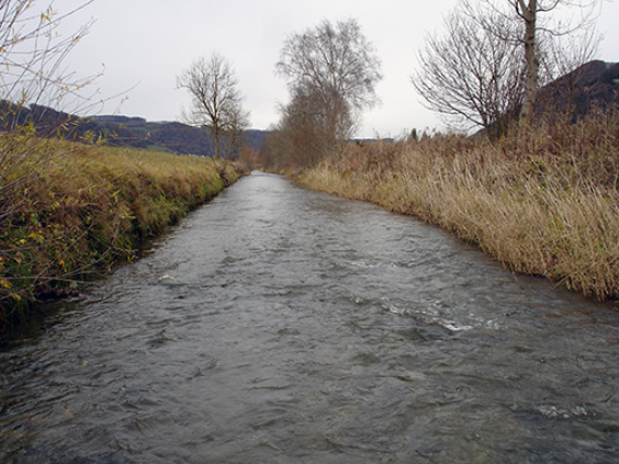 La Gürbe canalisée et enterrée sous la STEP de la vallée de la Gürbe