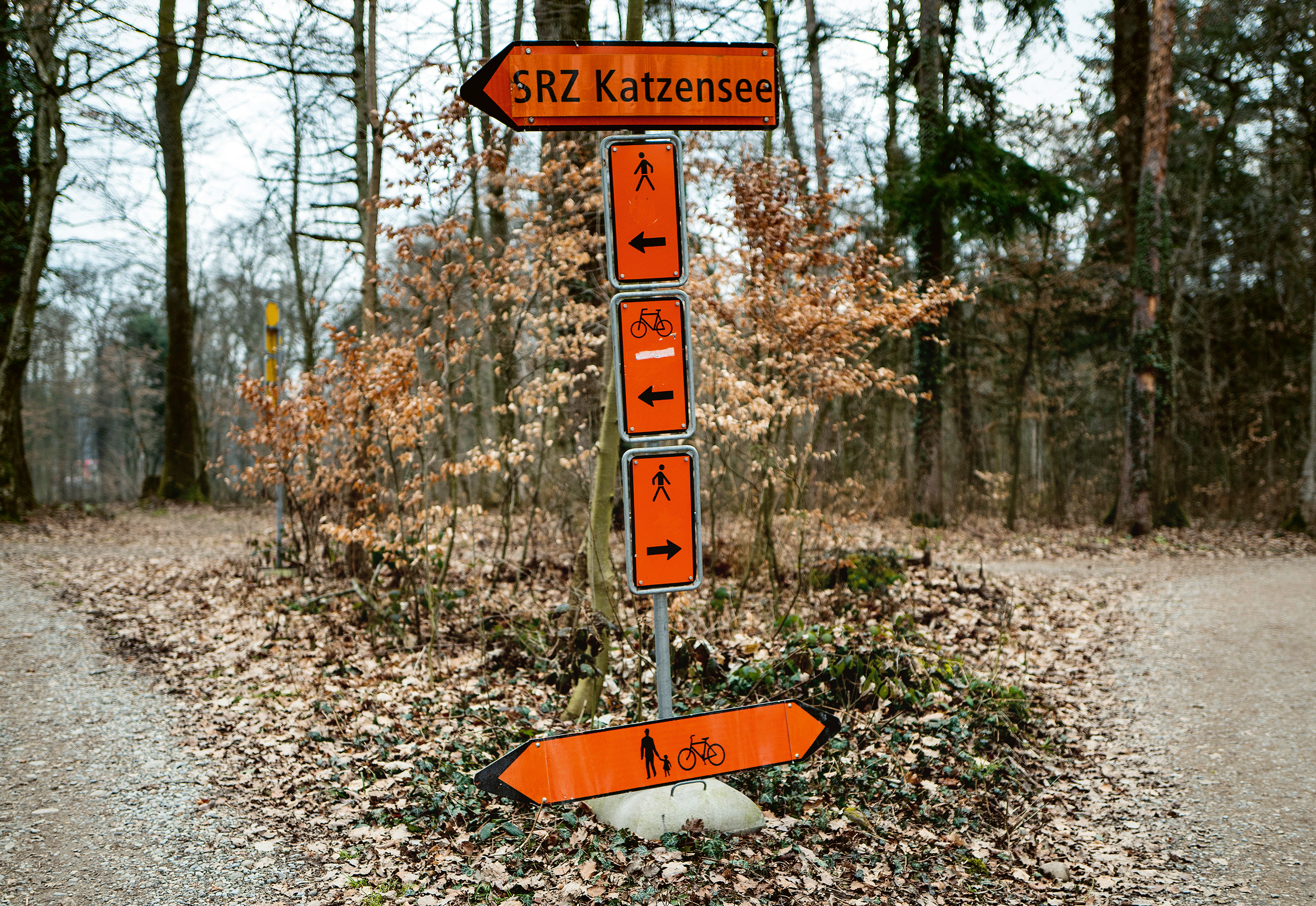 Unvorhergesehenes: Schilderwald