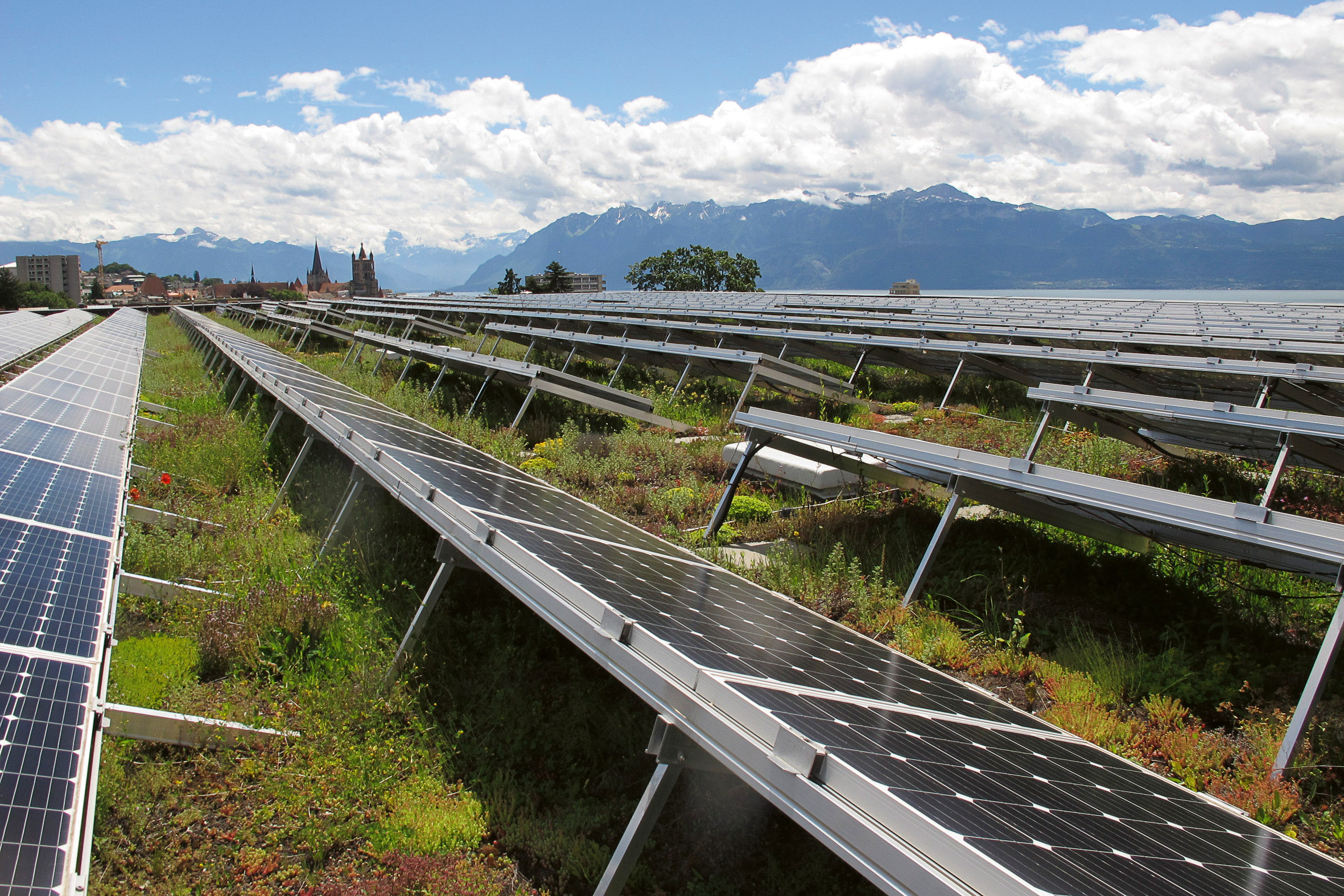 La végétalisation est tout à fait compatible avec la pose de panneaux solaires. Dans ce cas, le substrat est souvent utilisé pour lester les panneaux, comme ici à Beaulieu, Lausanne.