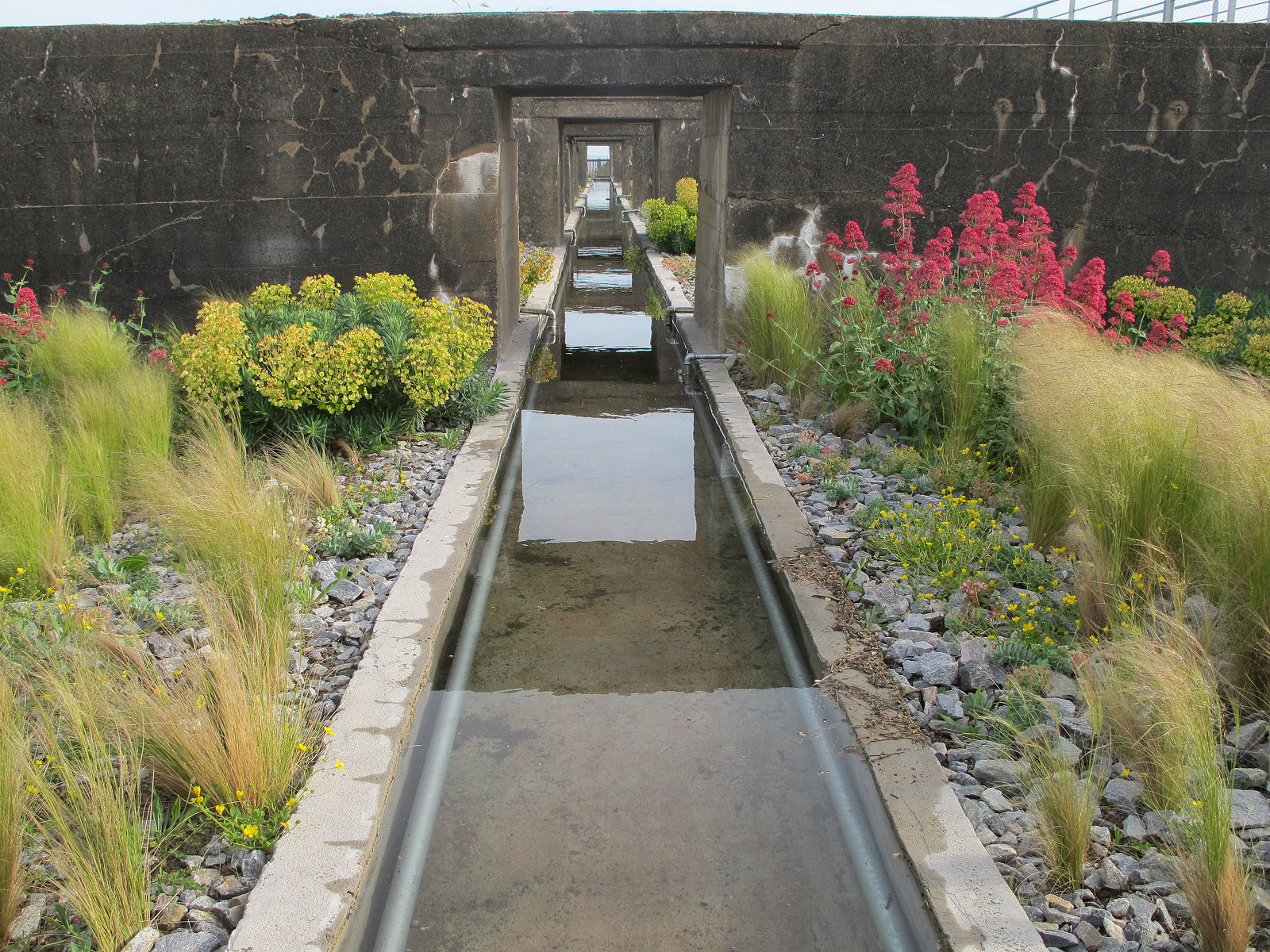 Toit de la base sous-marine de Saint-Nazaire, 2009, vue sur le canal. Premier jardin du « tiers paysage », Gilles Clément voit en la base de Saint-Nazaire « un lieu de résistance » capable d’accueillir la diversité écologique de l’estuaire. L’espace en triptyque tire parti des trois dispositifs de l’architecture en place.