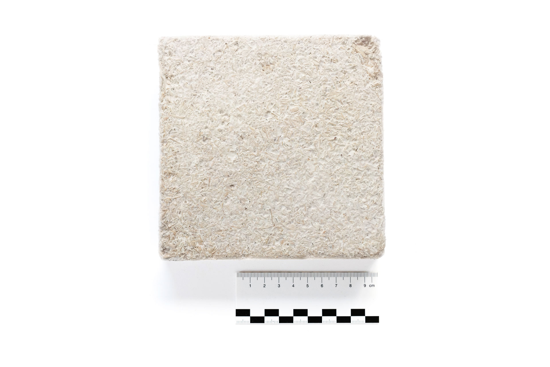 Der aus Mycelium produzierte Dämmstoff für die Forschungseinheit «Urban Mining and Recycling» am Empa NEST in Dübendorf.