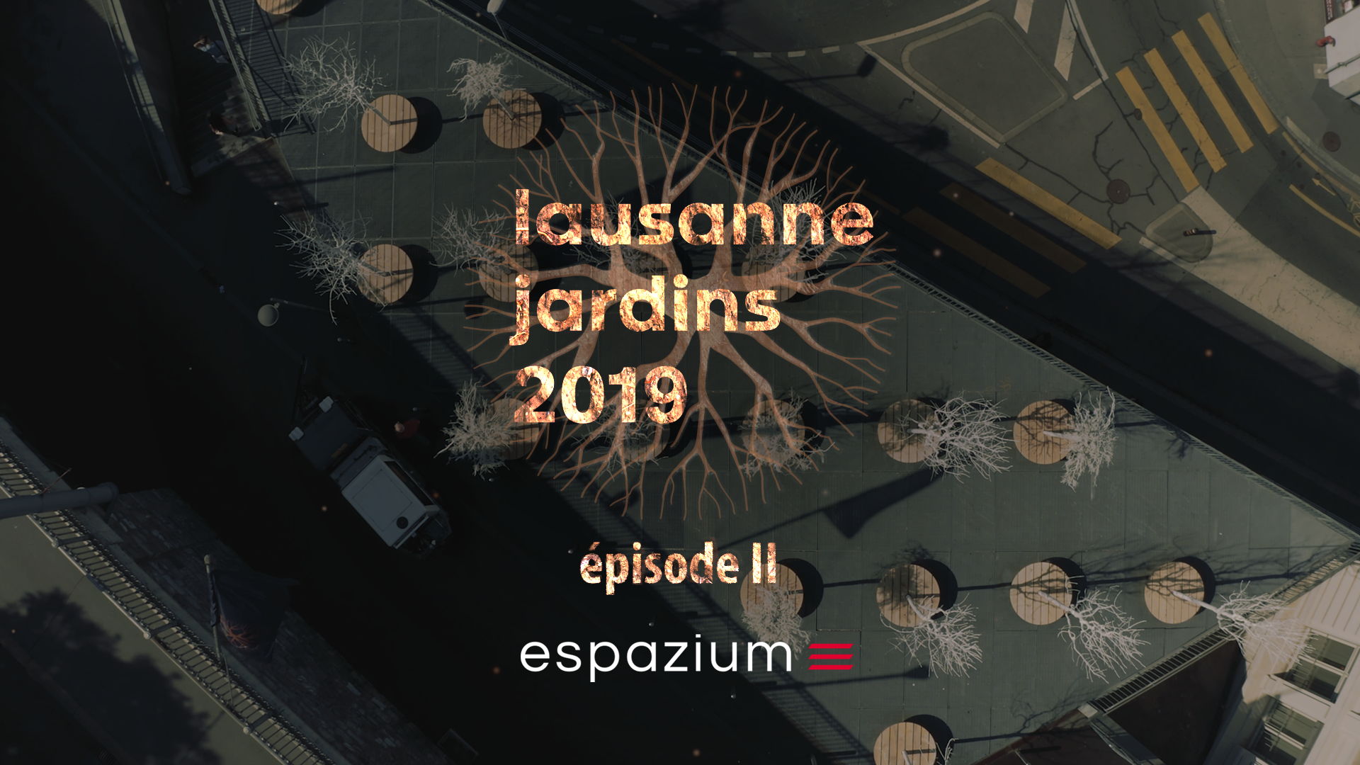 LJ2019 2