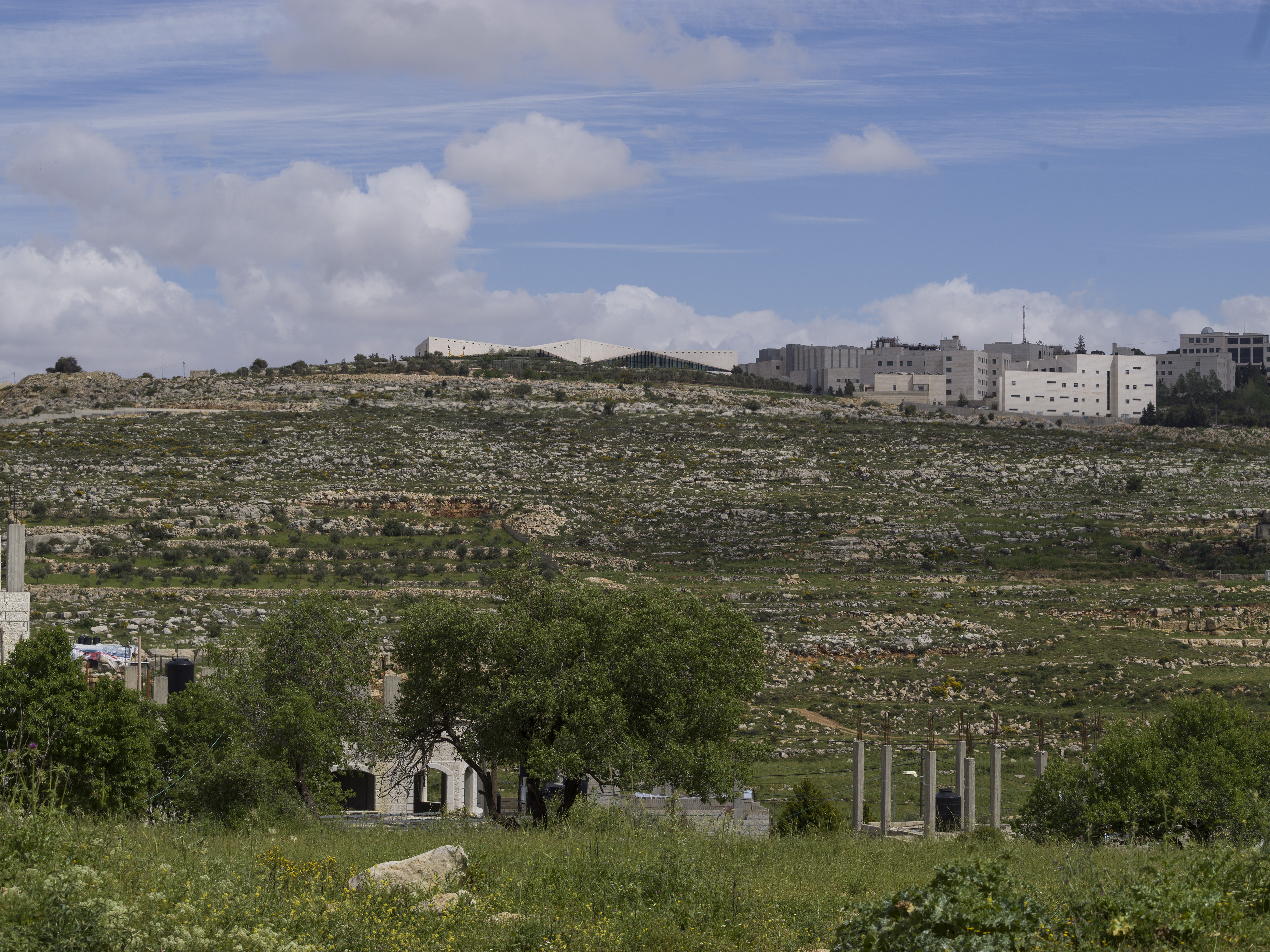 The Palestinian Museum blends in seamlessly with the surrounding landscape.