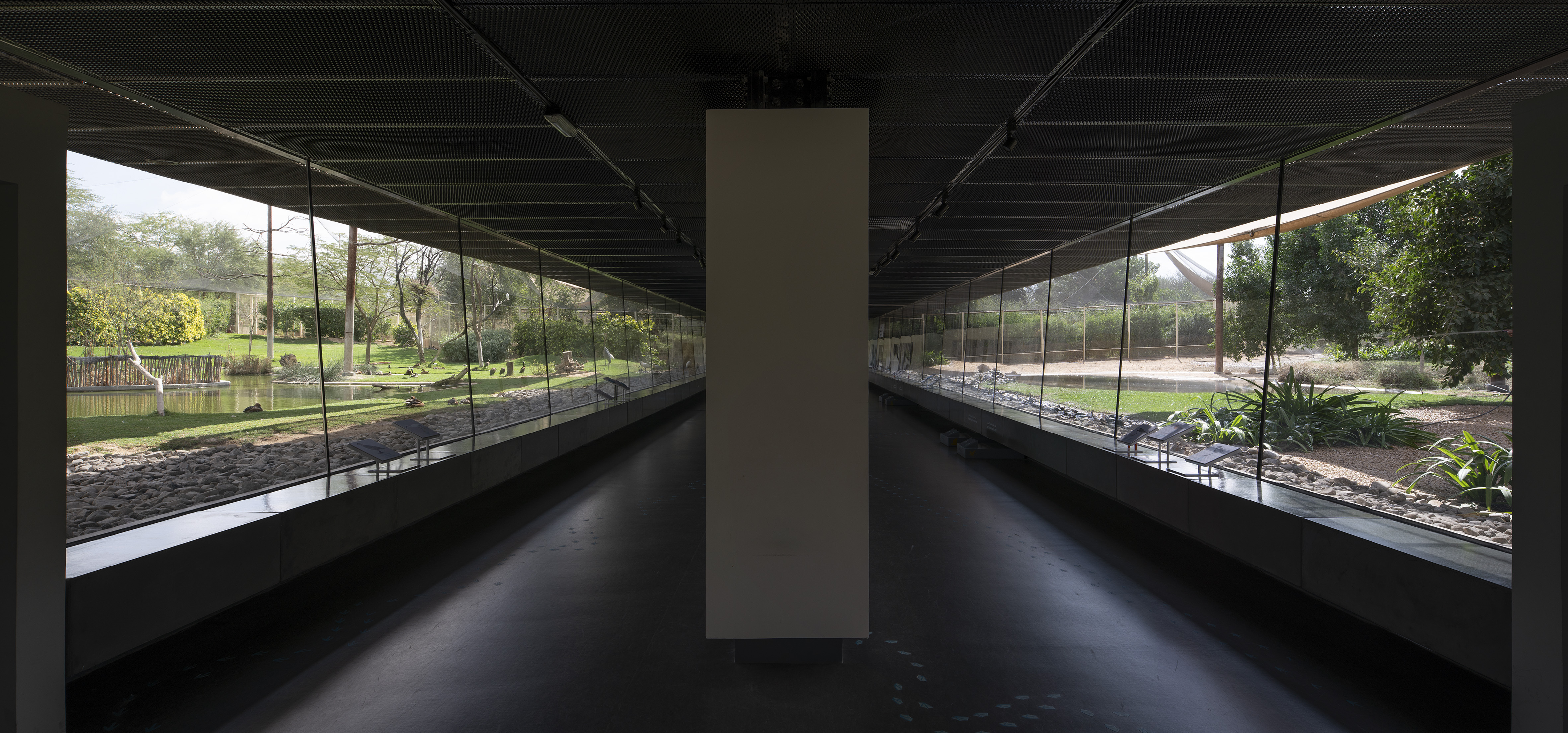 The viewing gallery is made of continuous reflective and insulated glass shaded by an overhang. It opens on the aviaries.