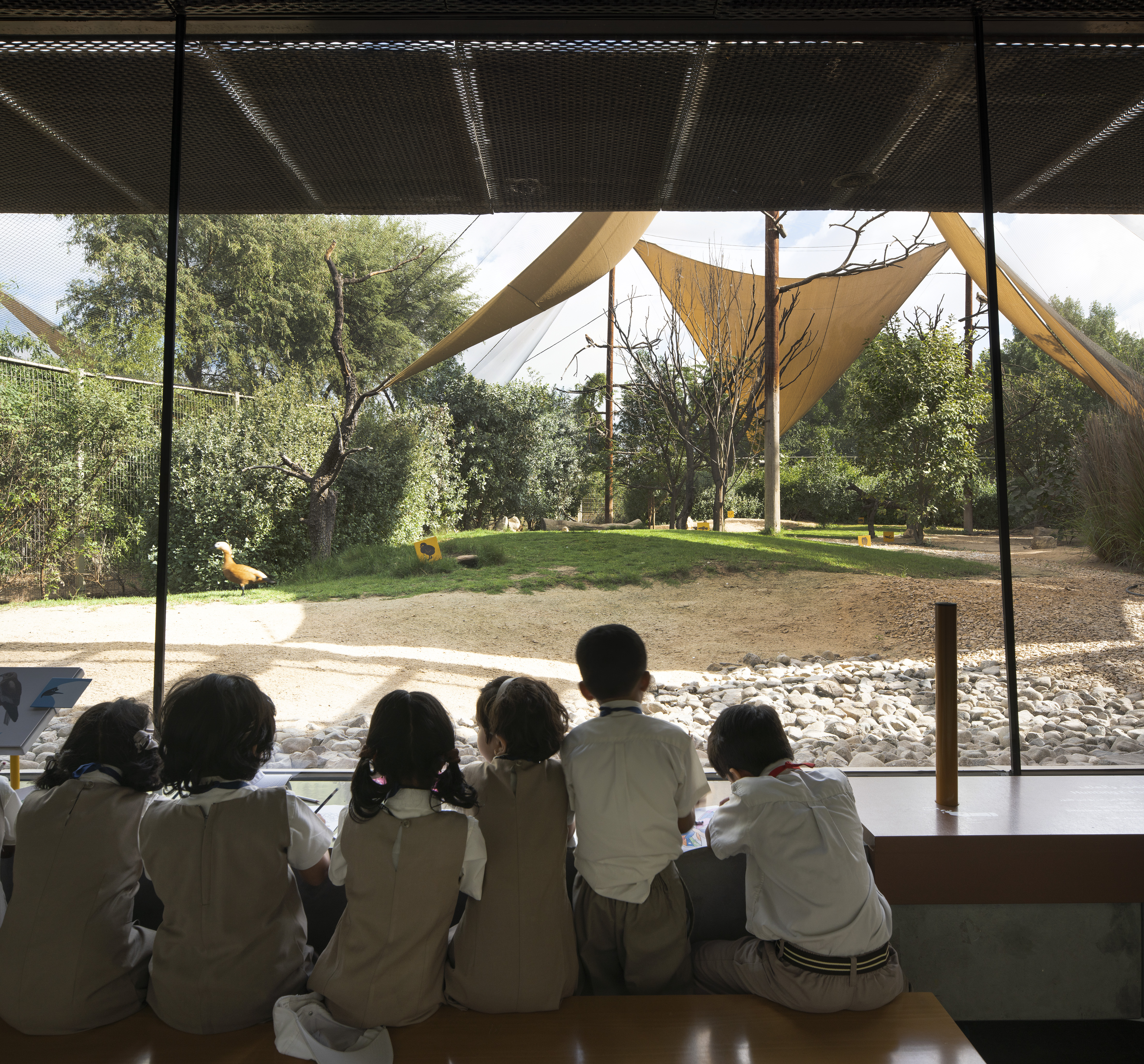 The gallery allows the visitors to have a close look at the birds, without disturbing their tranquility.