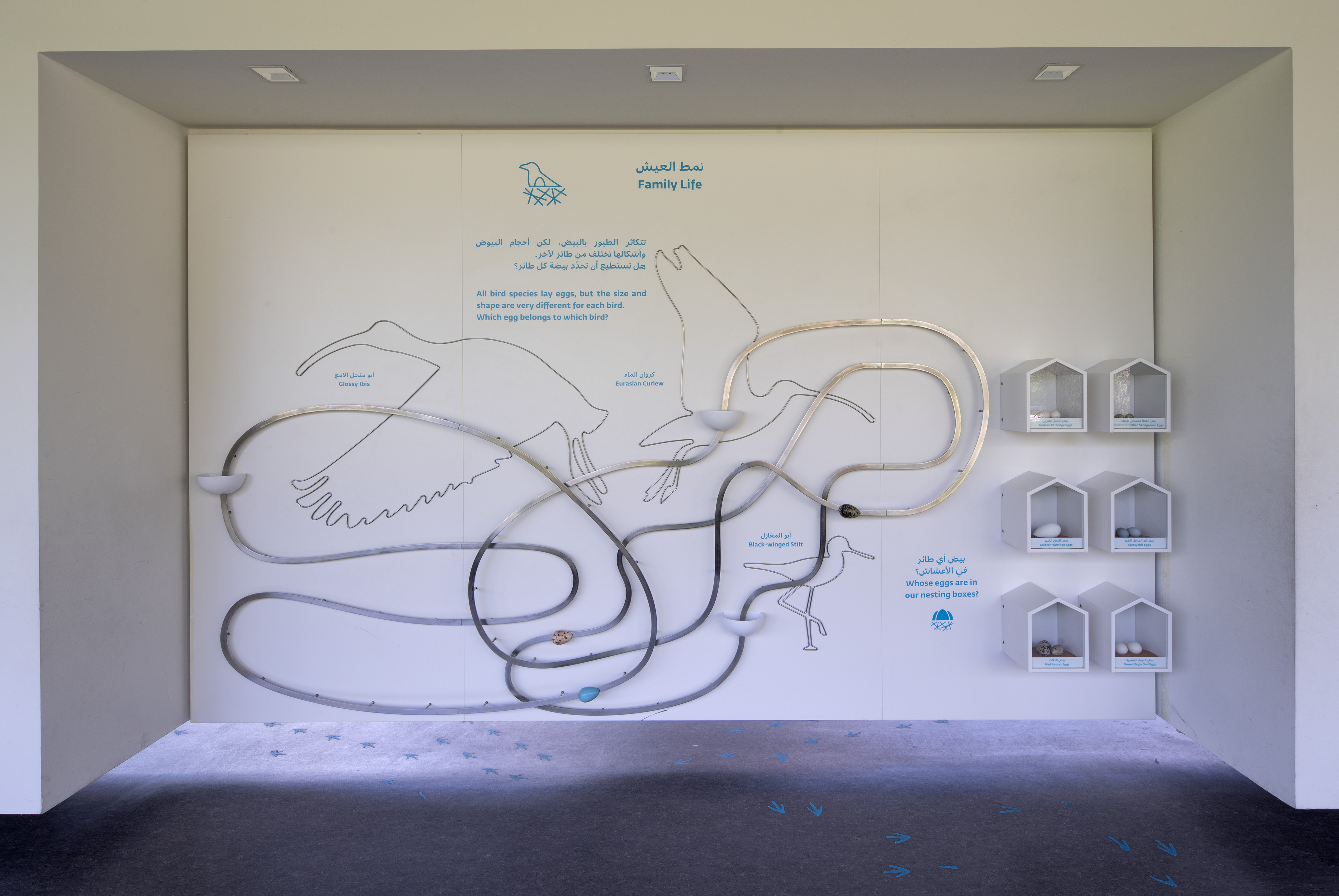 The dividing wall between the galleries hides services and provides surface for awareness and educational material for the visitors.