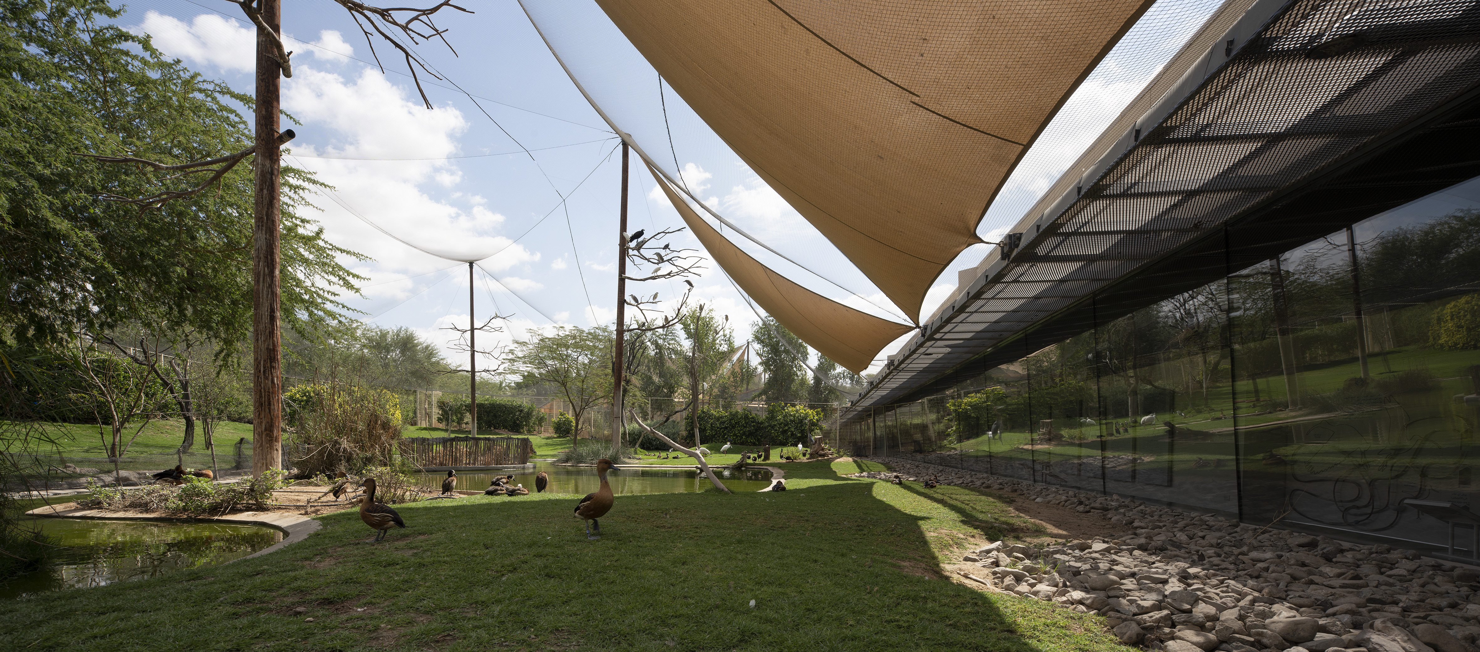 The glass walls are at a slight angle. It minimizes the sunlight glare for the viewers inside and reflects the landscape to the birds outside.