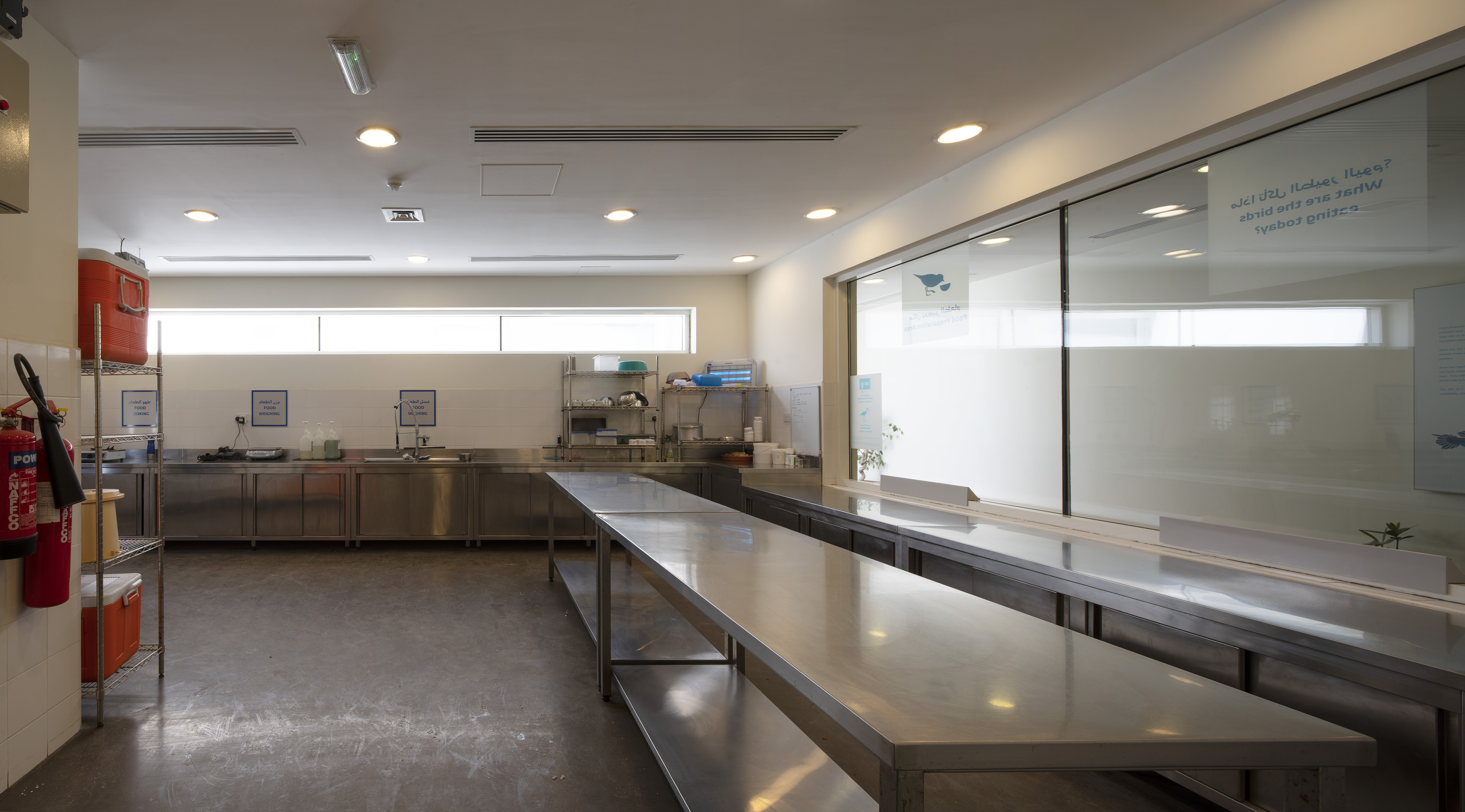 Visitors can see inside the kitchen in which the birds’ meals are prepared.