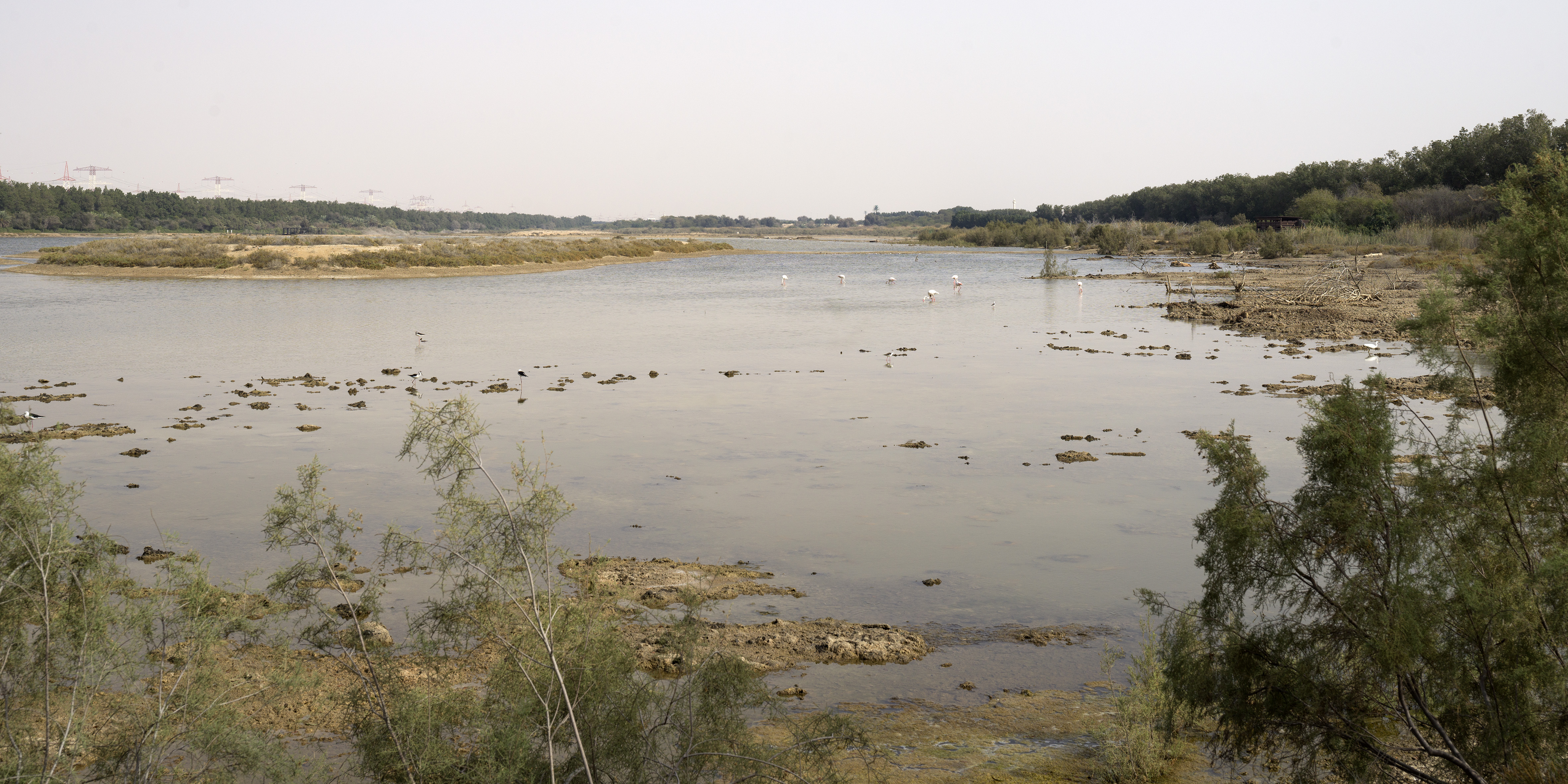 The 200,000 sqm site underwent extensive landscaping. Only indigenous trees and plants were planted, in order to encourage various types of flora and fauna to thrive in the area.