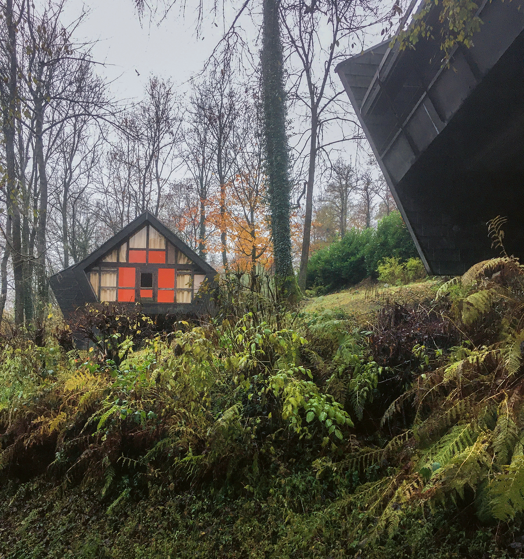 Die 27 Häuser der Tessiner Feriensiedlung Bosco della Bella, die Pro Juventute im Jahr 1959 in Auftrag gegeben hat, stehen in bestechendem Kontrast zur romantischen Umgebung.
