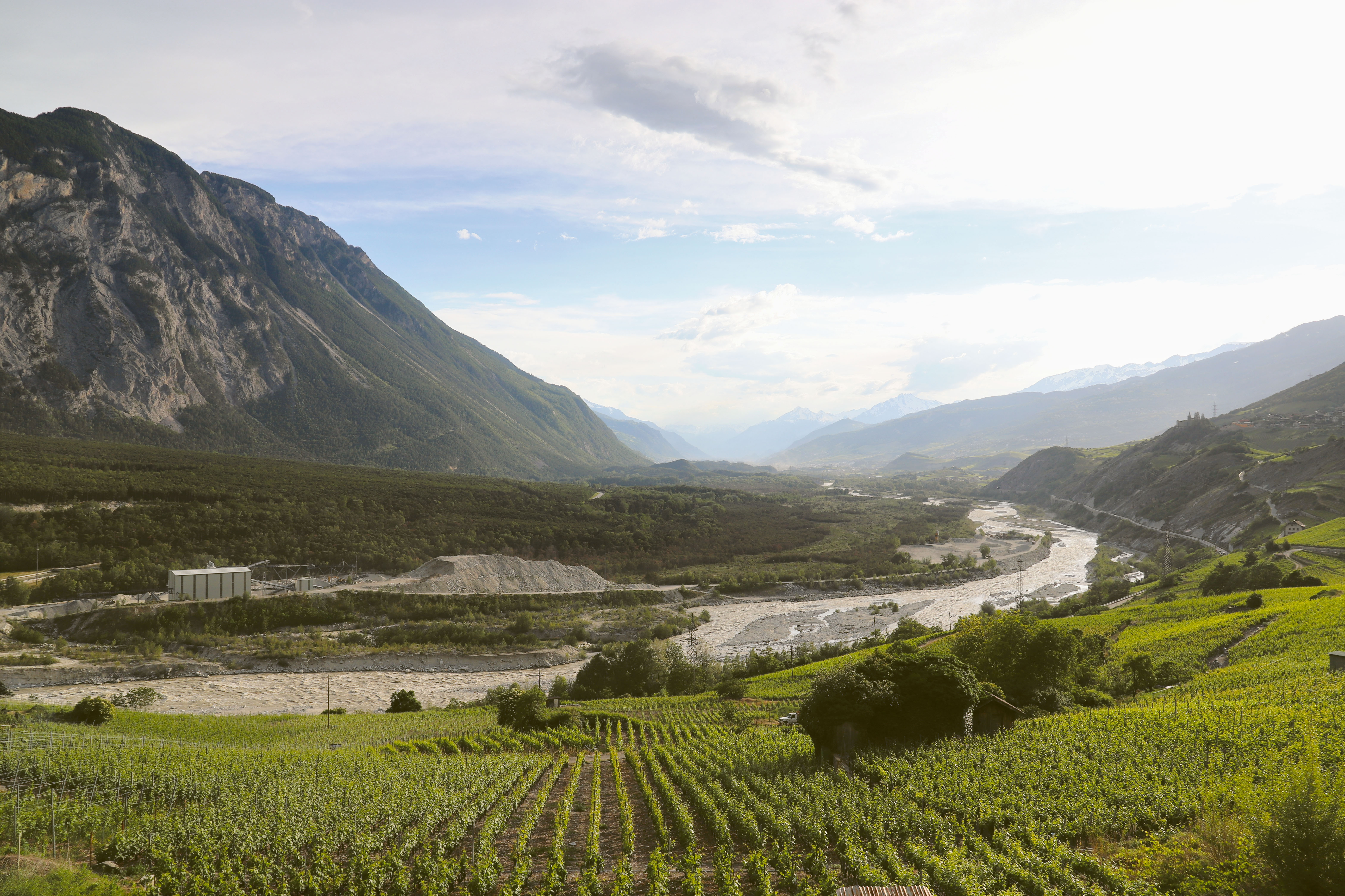 Le Rhône vu depuis Loèche en direction de la forêt de Finges