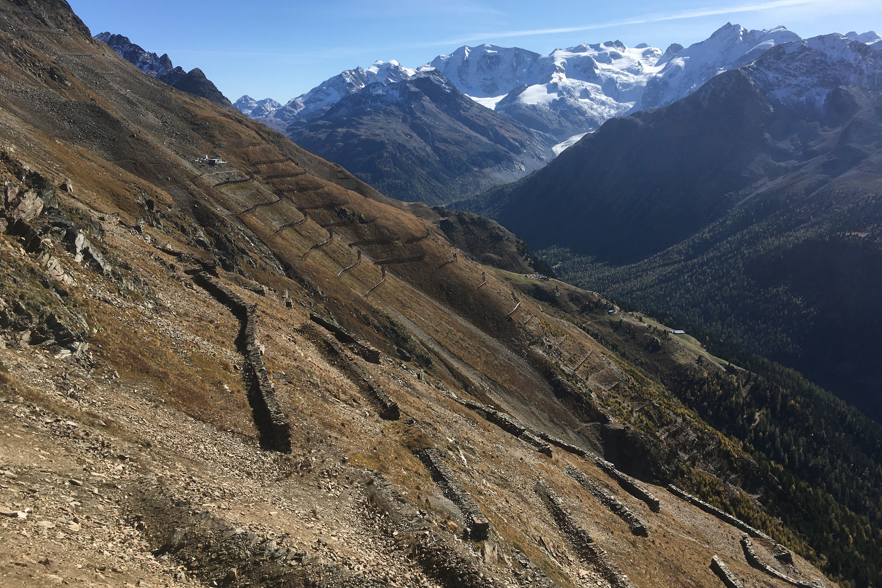 Wer am Schafberg wandert