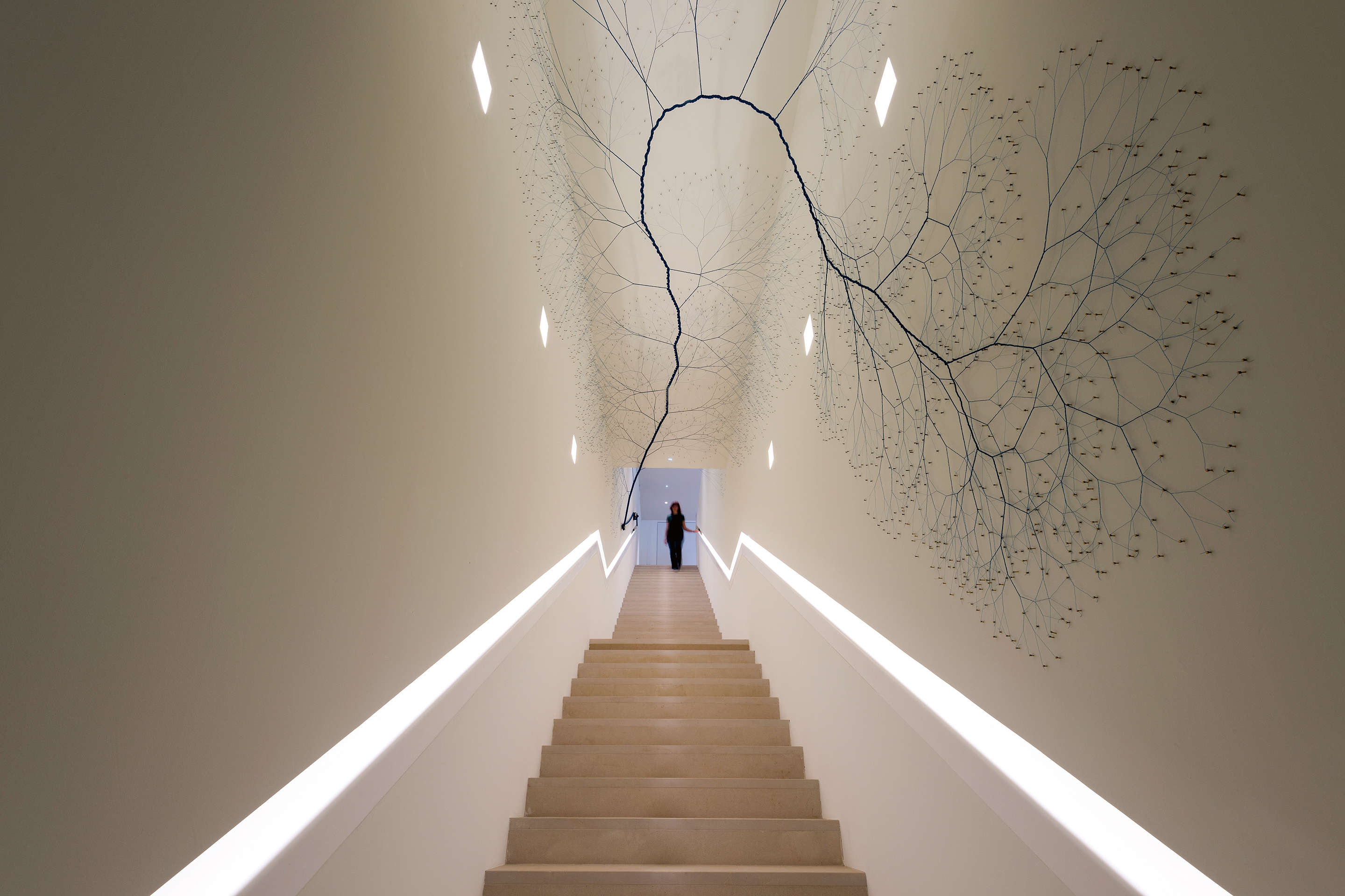 FondationCarmignac_Ciclotrama