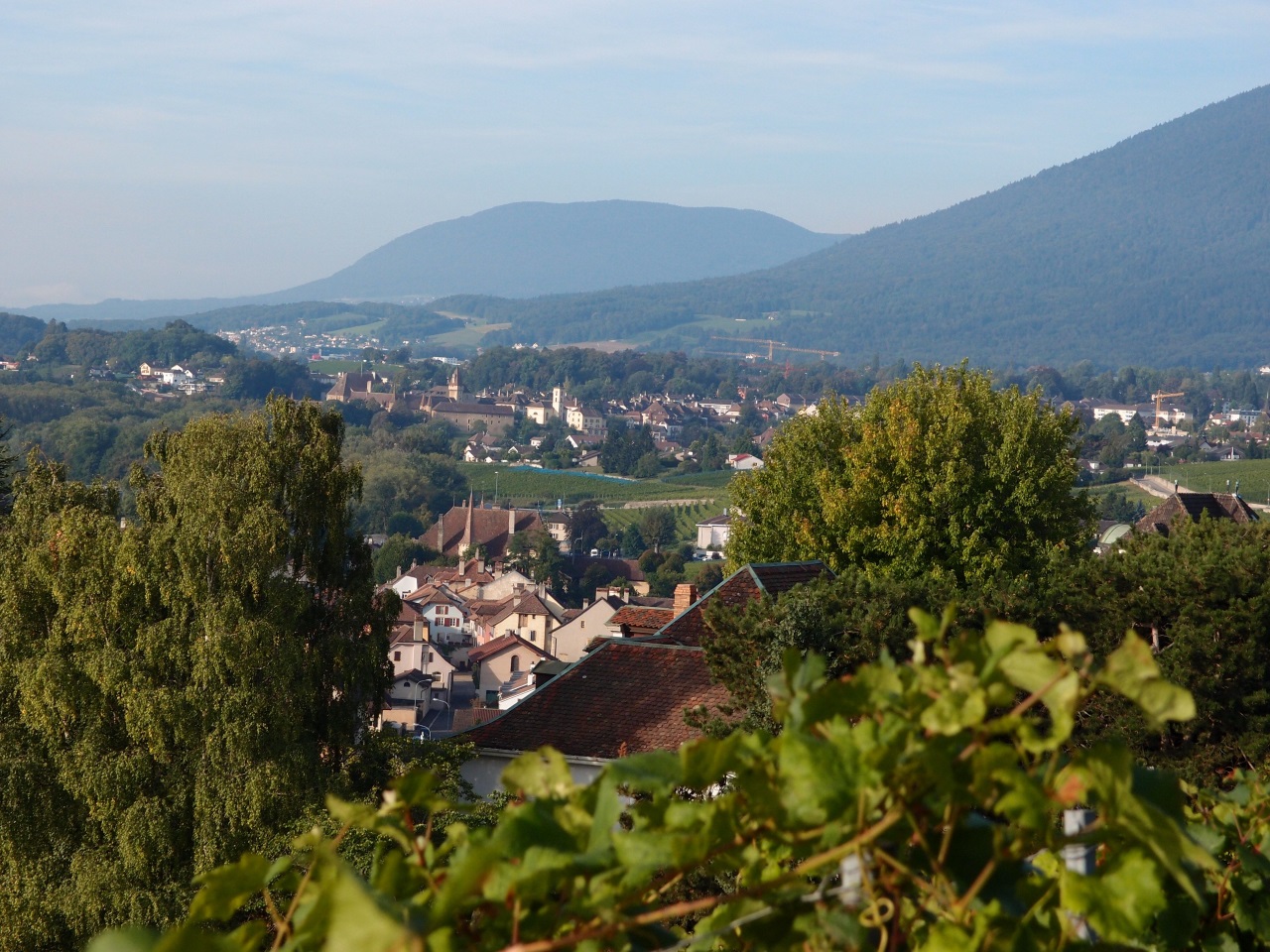 Commune de Milvignes-0