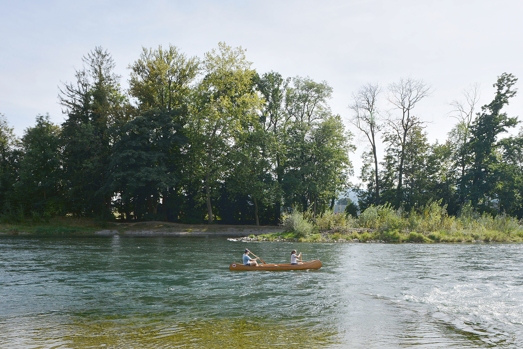 Zones alluviales de la Limmat au Werdhölzli (2013)