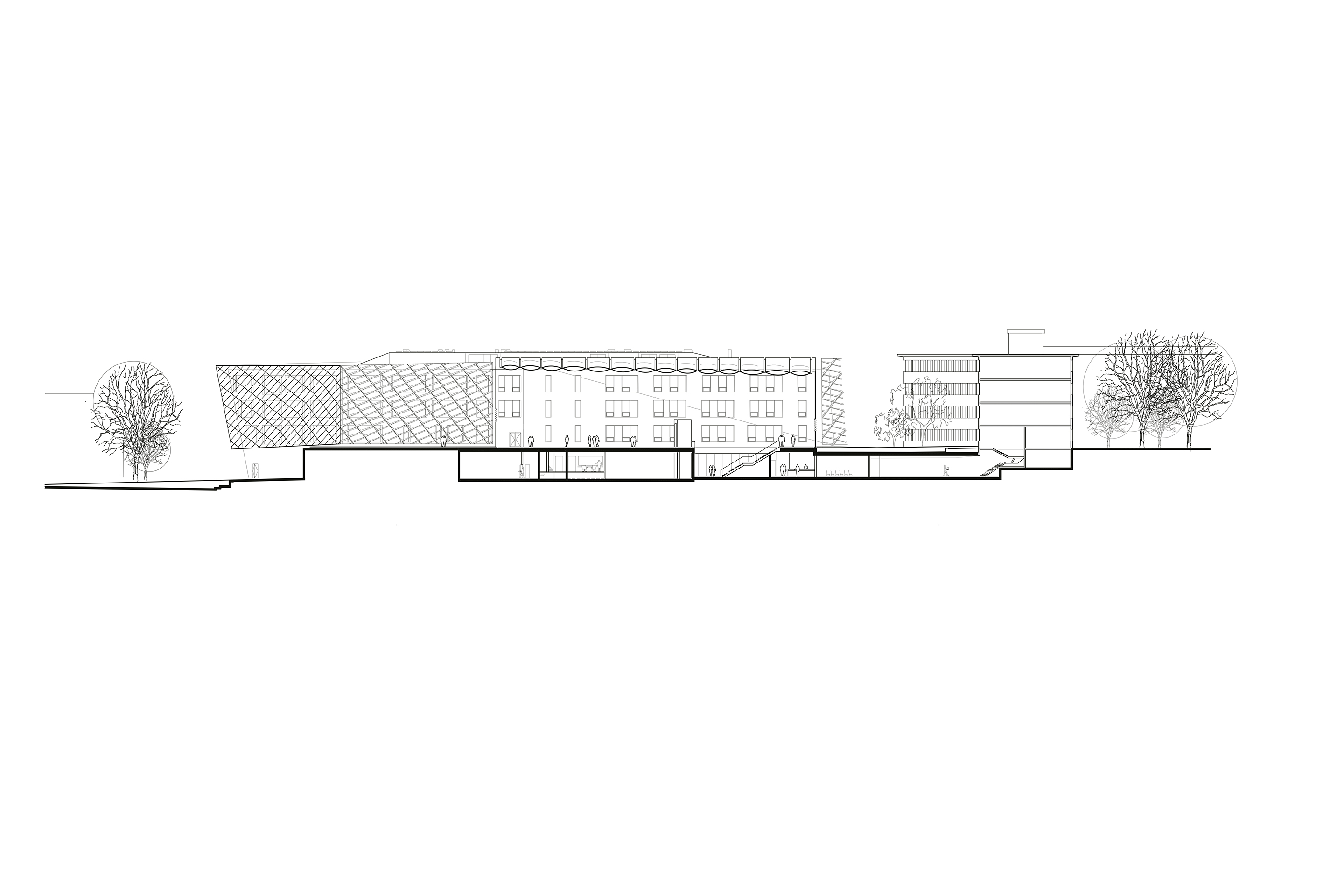 Agora Lausanne Schnitt 03