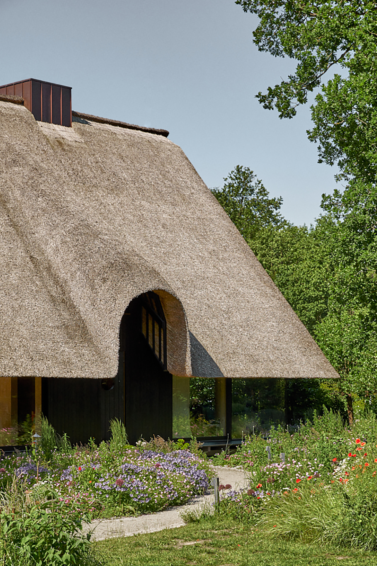 HBA_Haus B_Reetdach