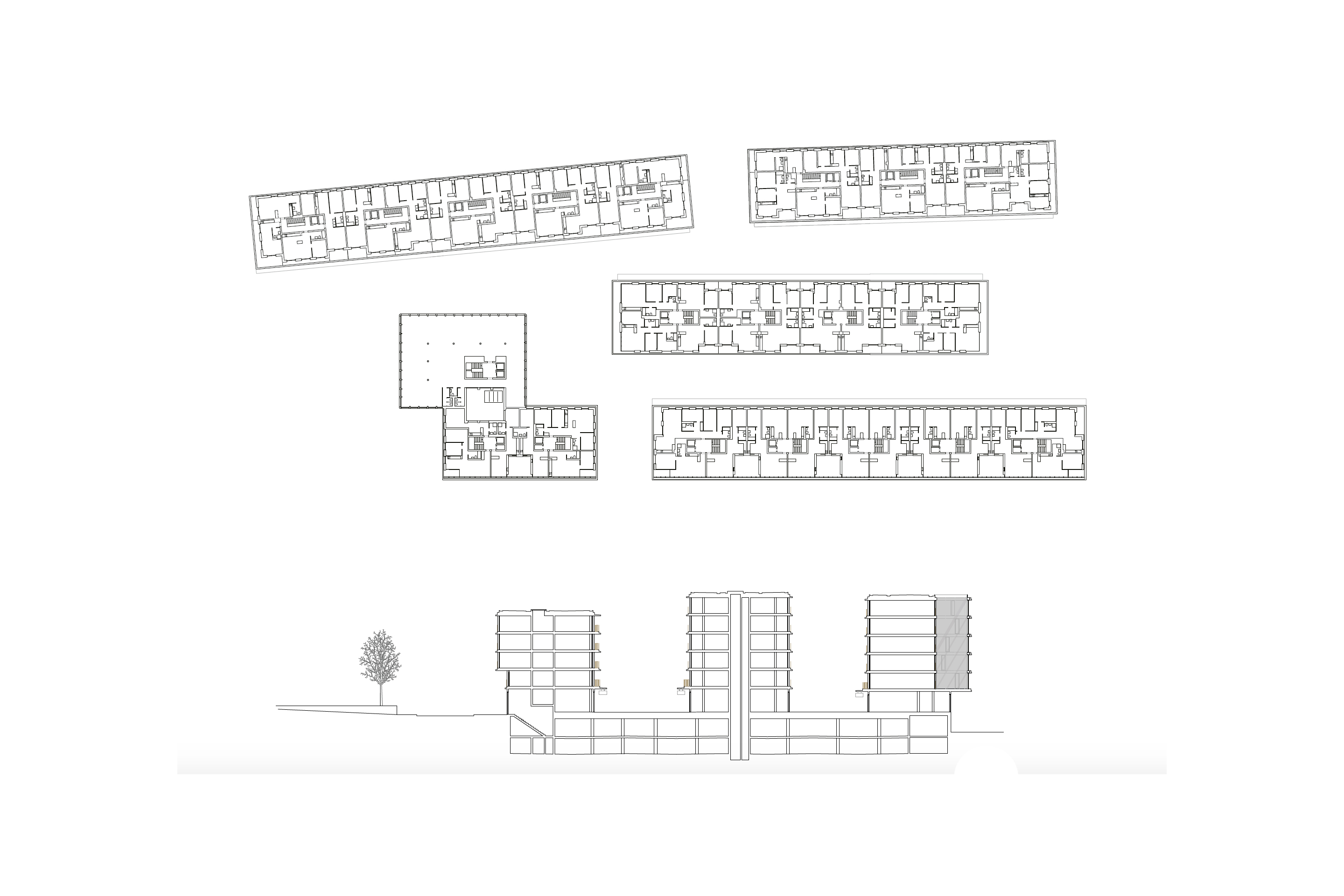 Plan d'un étage type (logements et bureaux) et coupe transversale
