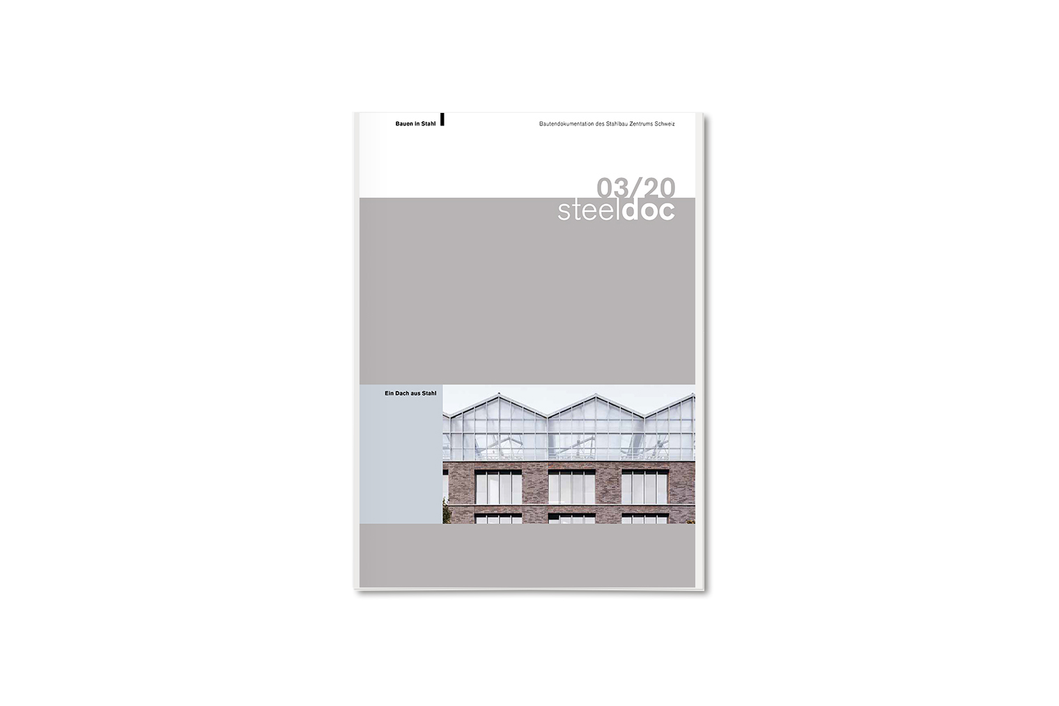 steeldoc 3/20