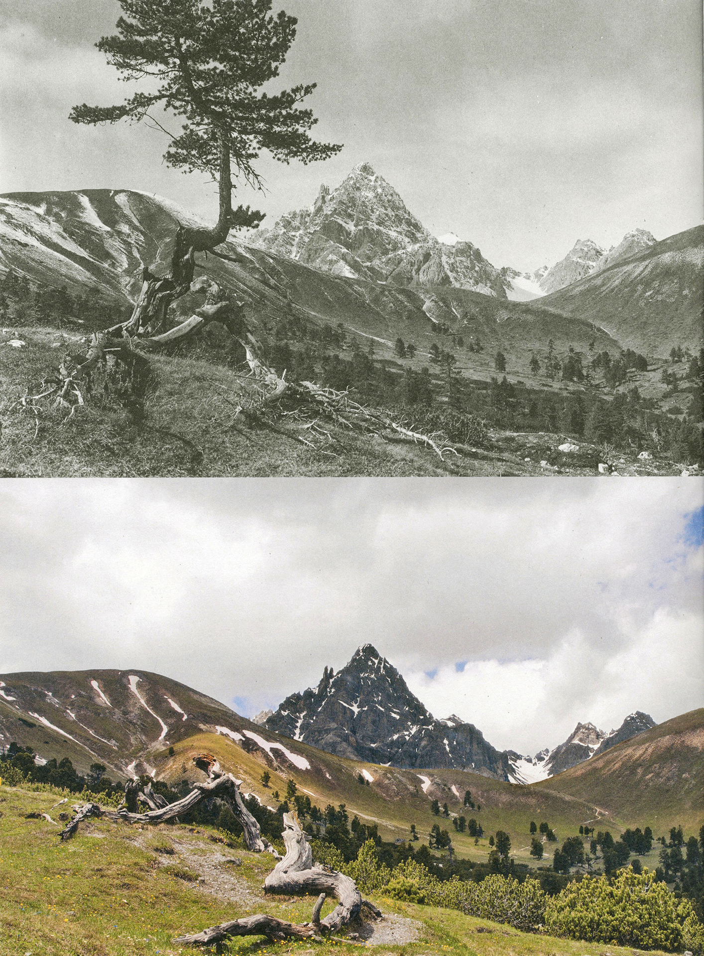 Nationalpark