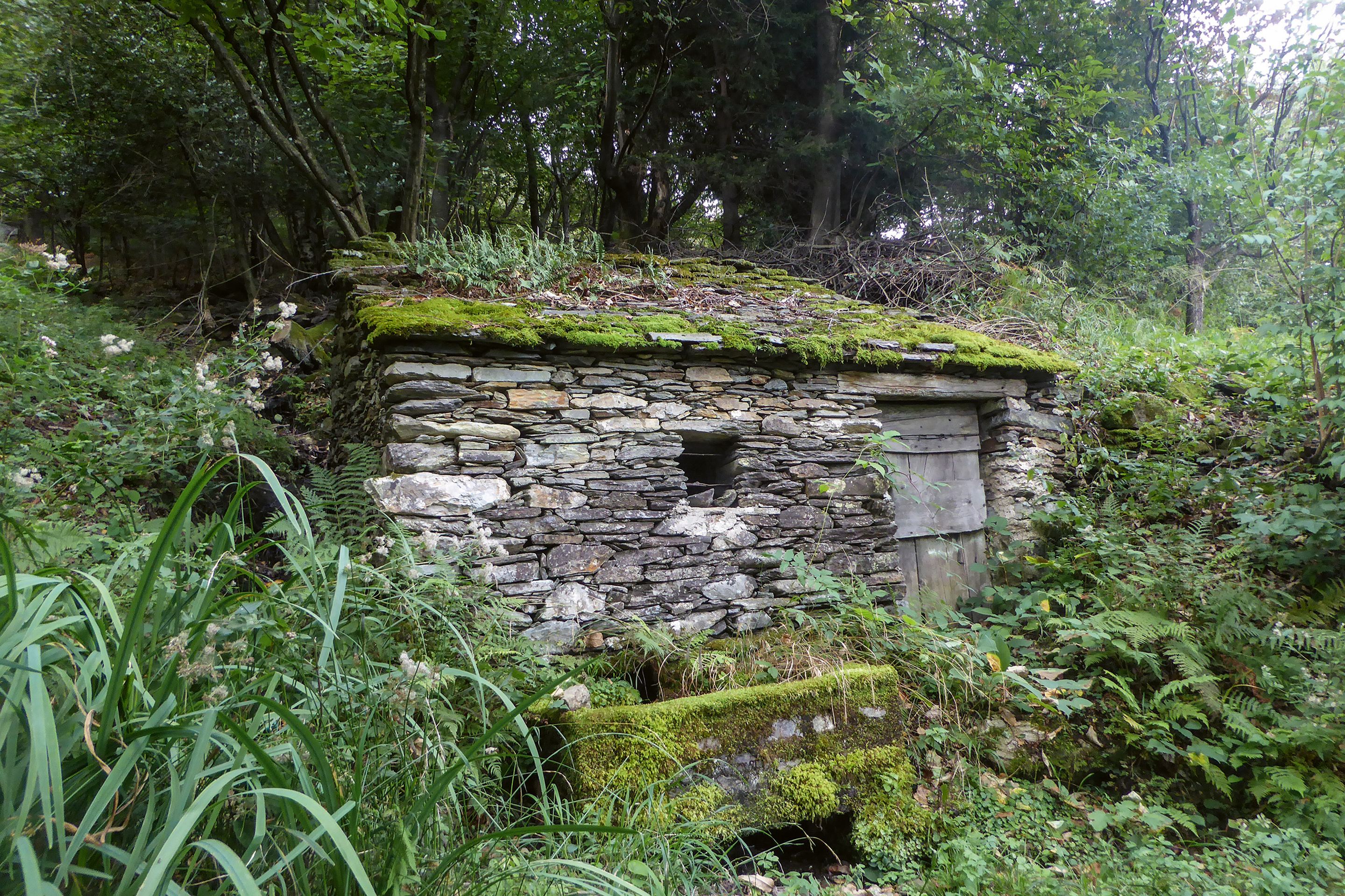 Ceneri_Kaltkeller