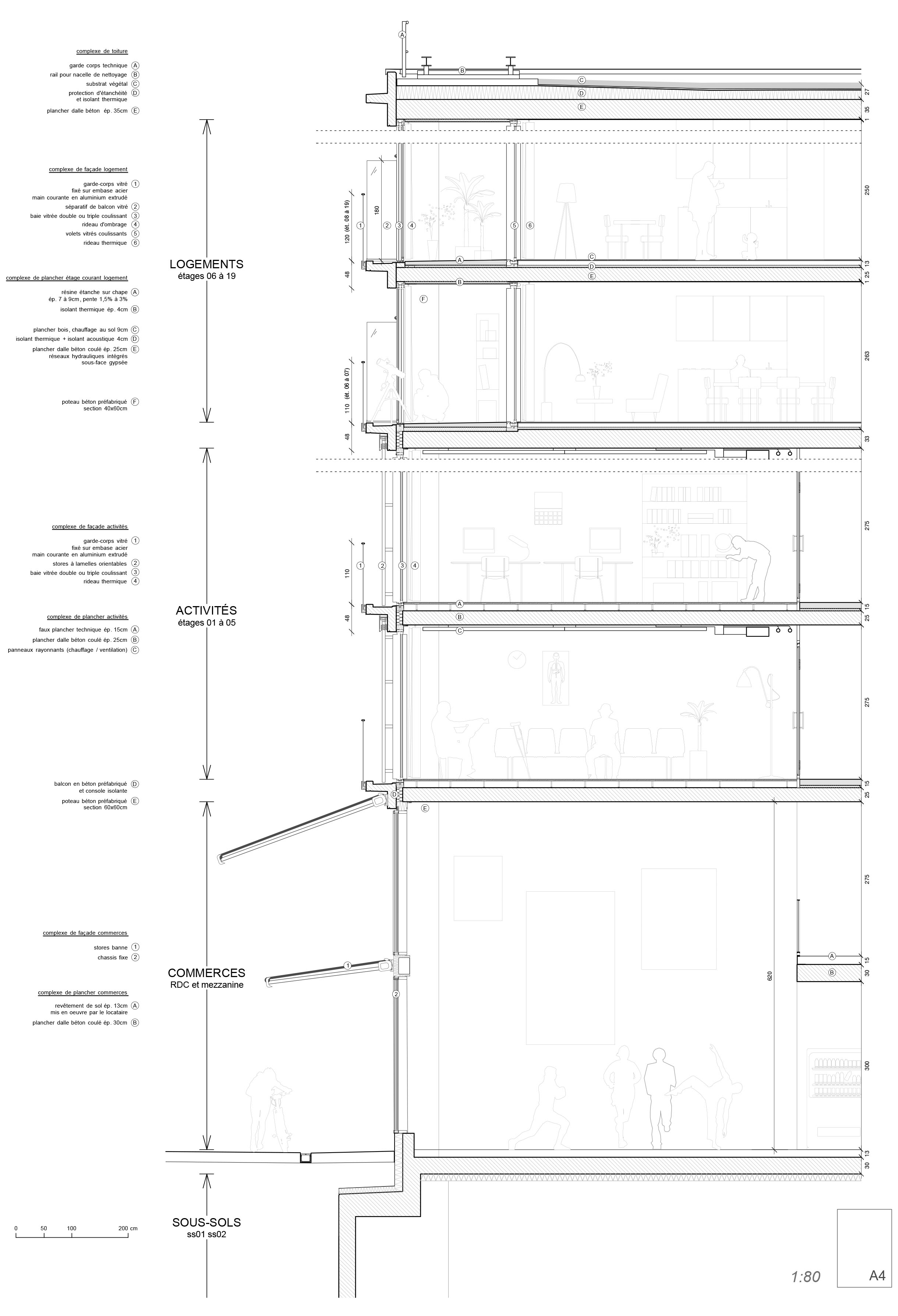 Détail en coupe : distinctions techniques entre étages de logements et d’activités.