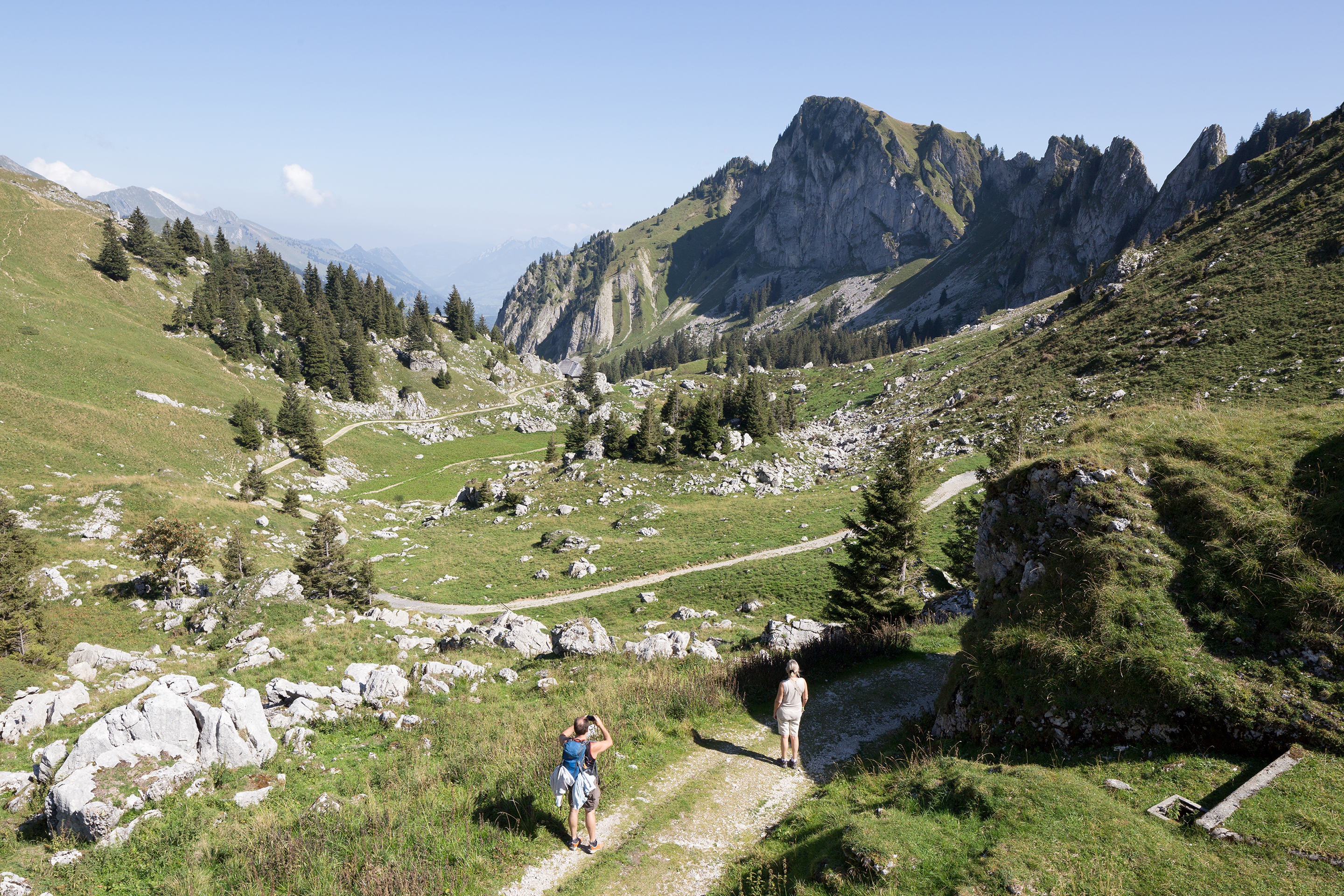 Trains-de-montagne