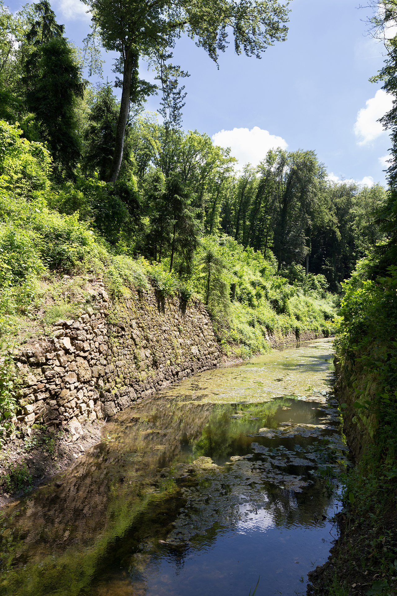 Canal-d-Entreroches