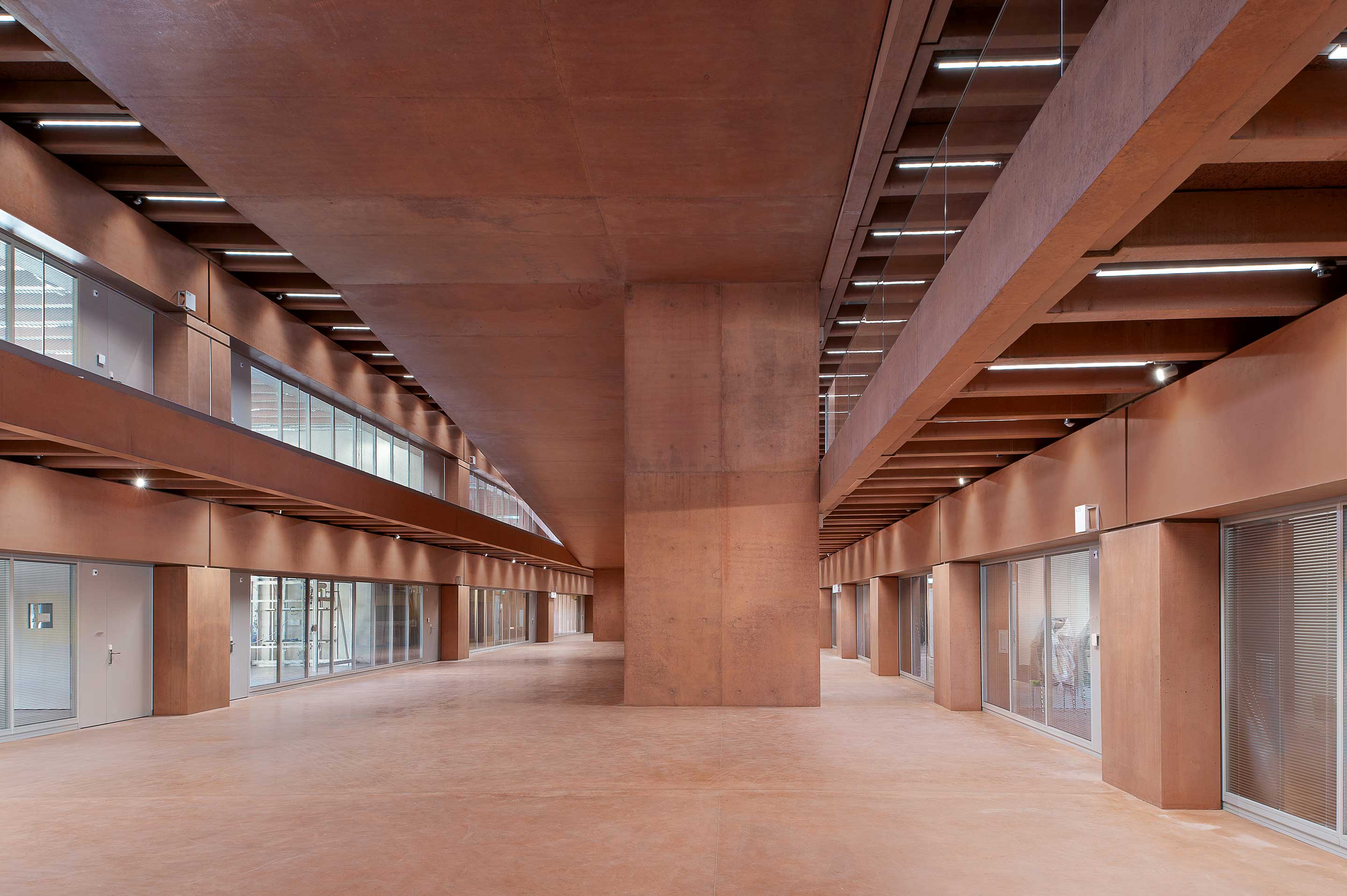Campus SUPSI, Mendrisio, Bassi Carella Marello Architectes