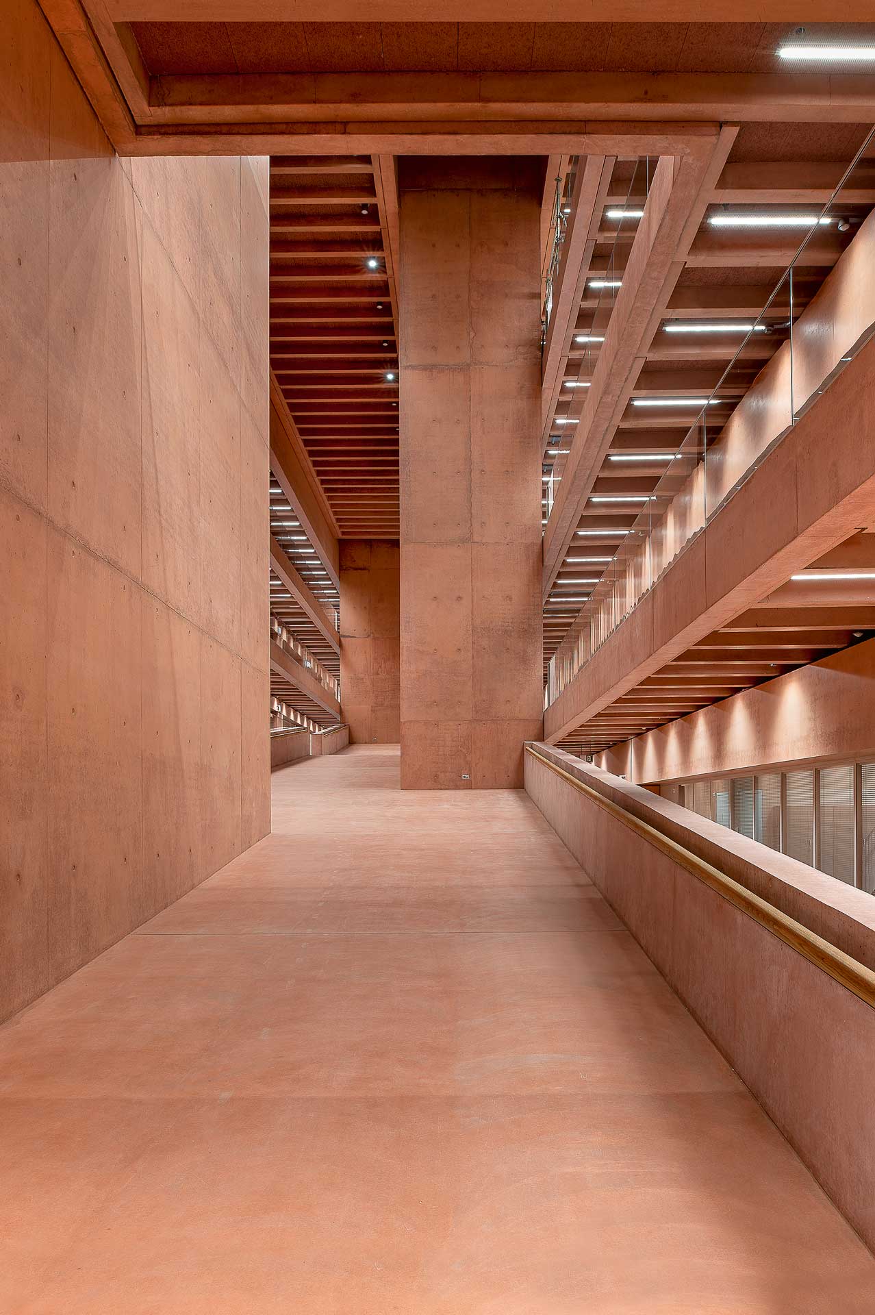 Campus SUPSI, Mendrisio, Bassi Carella Marello Architectes
