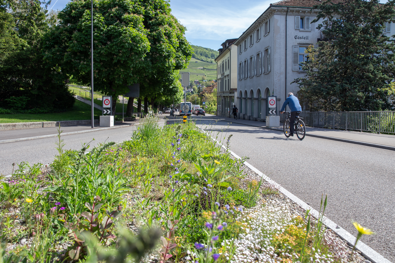 Dans le projet «Quand la nature rencontre la ville», de nombreuses petites bordures de route ont été conçues comme des zones rudérales avec une variété de flore locale, comme ici dans la ville de Baden.