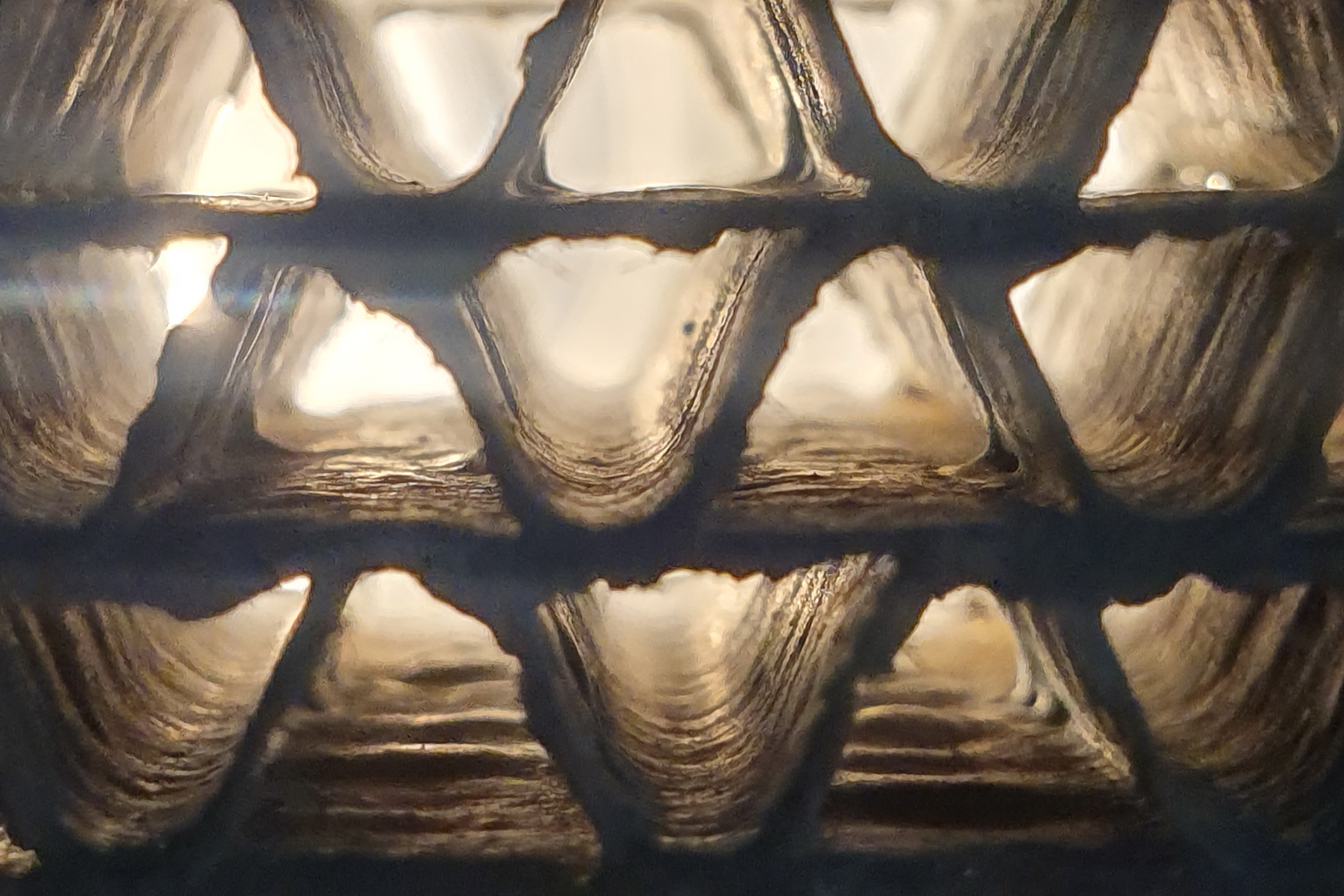 Ecocell-Detail