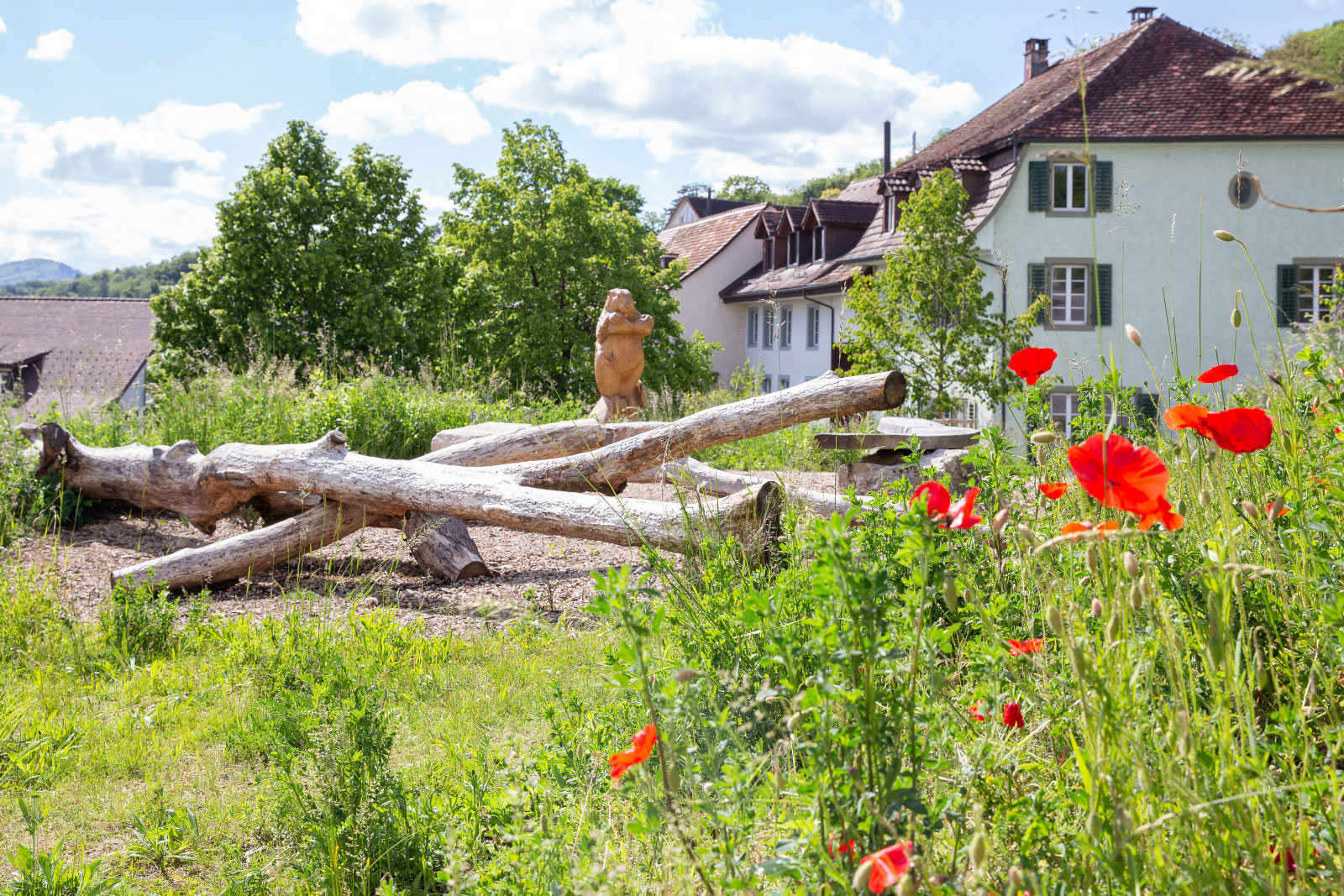 La vivace piazza di Biberstein: la scultura in legno è la mascotte del villaggio. I vecchi tronchi d'albero fanno da habitat per i coleotteri del legno morto, e piacciono anche ai bambini che vi si arrampicano.