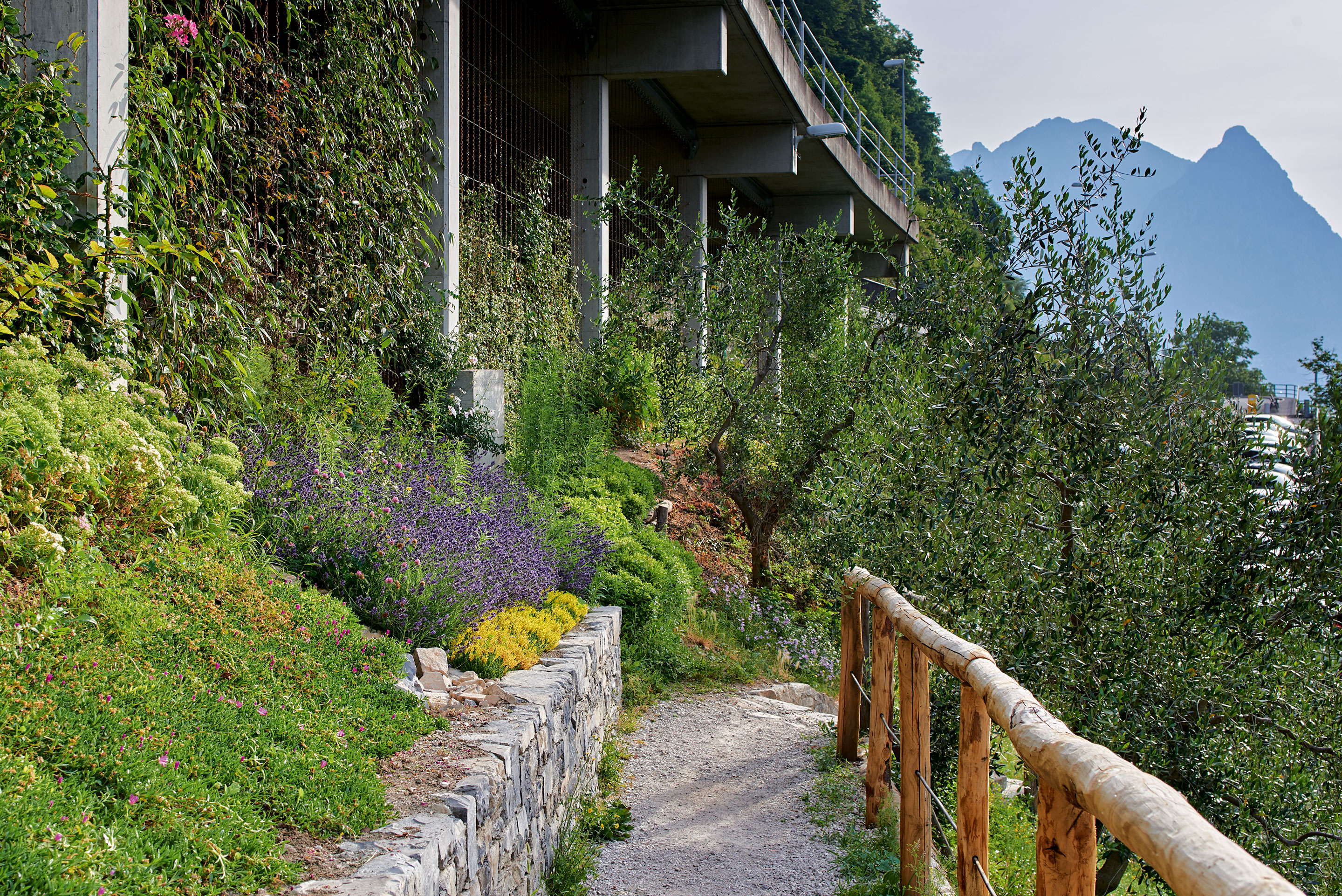 Il Jardin Vertical e la scalinata a lago di Gandria (2017-2020) di enrico sassi architetto
