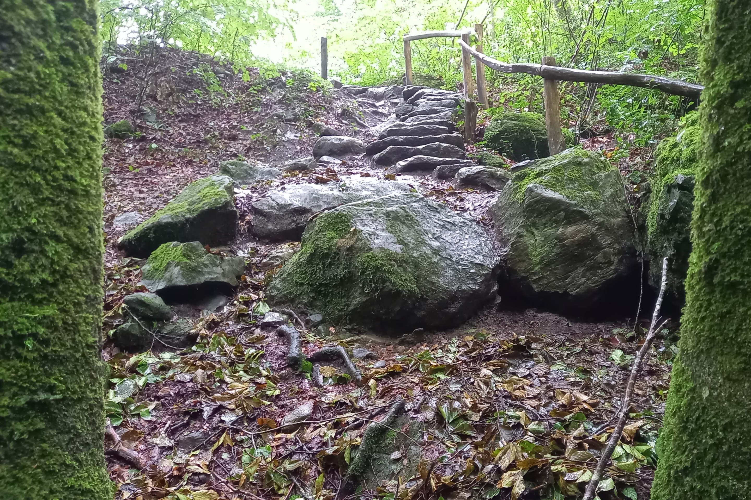 Sieben-Brueggliweg-Aufstieg