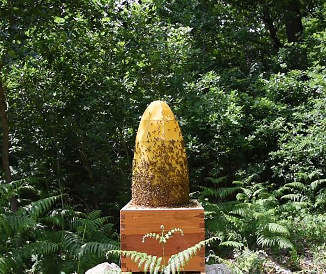 Beehive