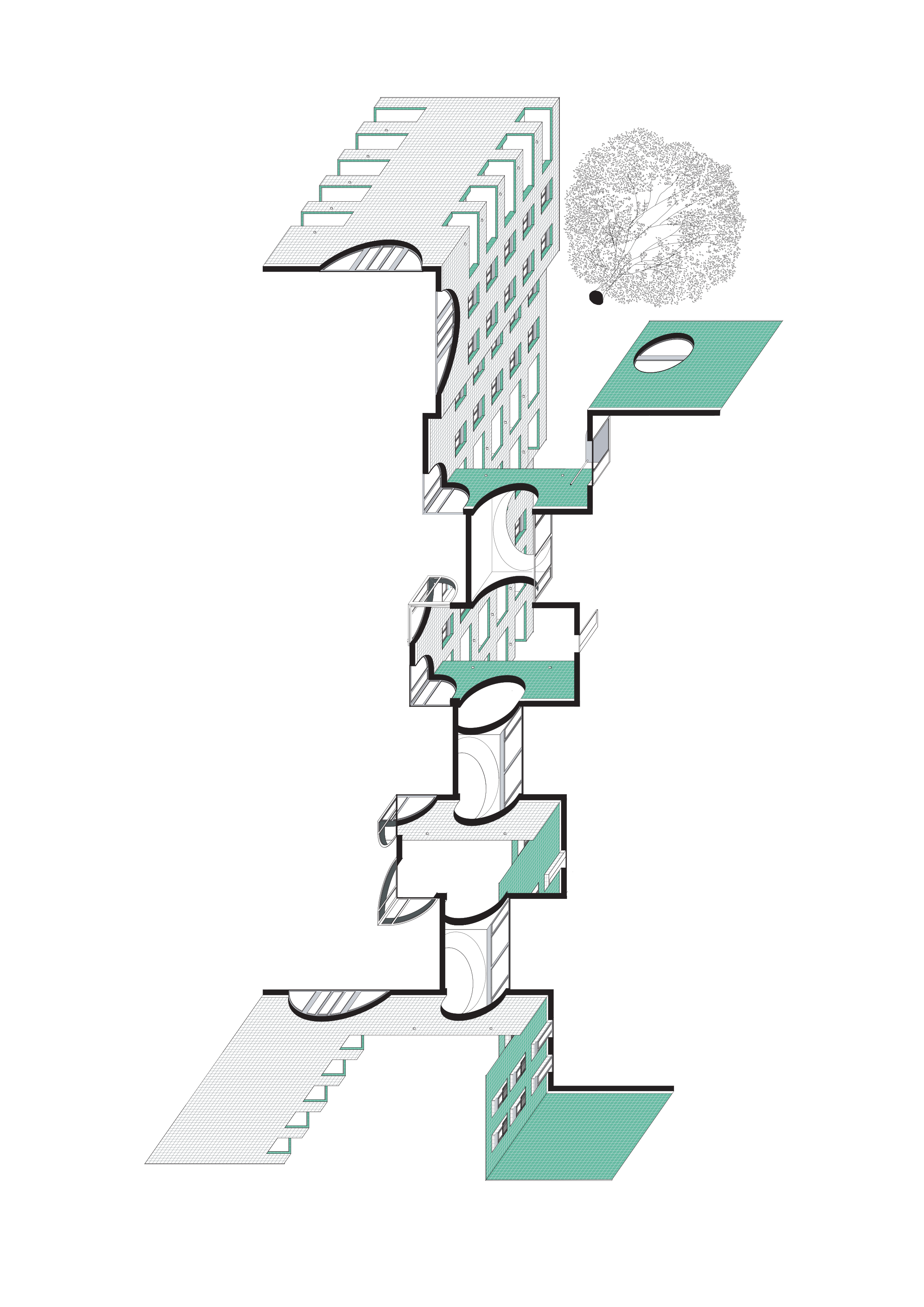 Axonométrie de l’espace articulé par les façades et les arches du projet de Nomos. Le grand cèdre pré-existant marque l’entrée de ce dédale de pièces à ciel ouvert.