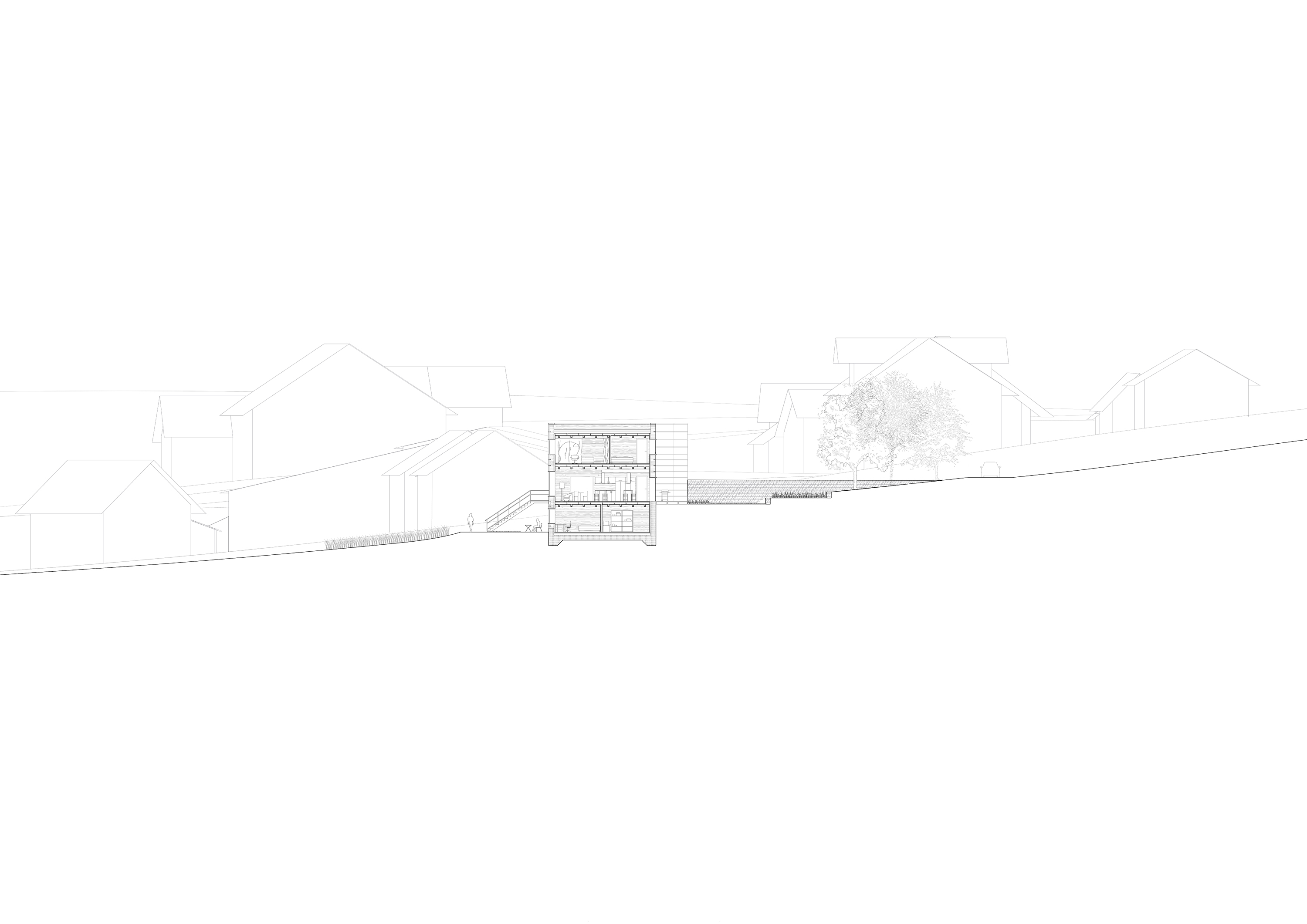 Ana de Lima Carvalho : Habitat Pittoresque. Hybridation entre terrace house et logement communautaire à Sugnens, Vaud, projet de master EPFL 2021
