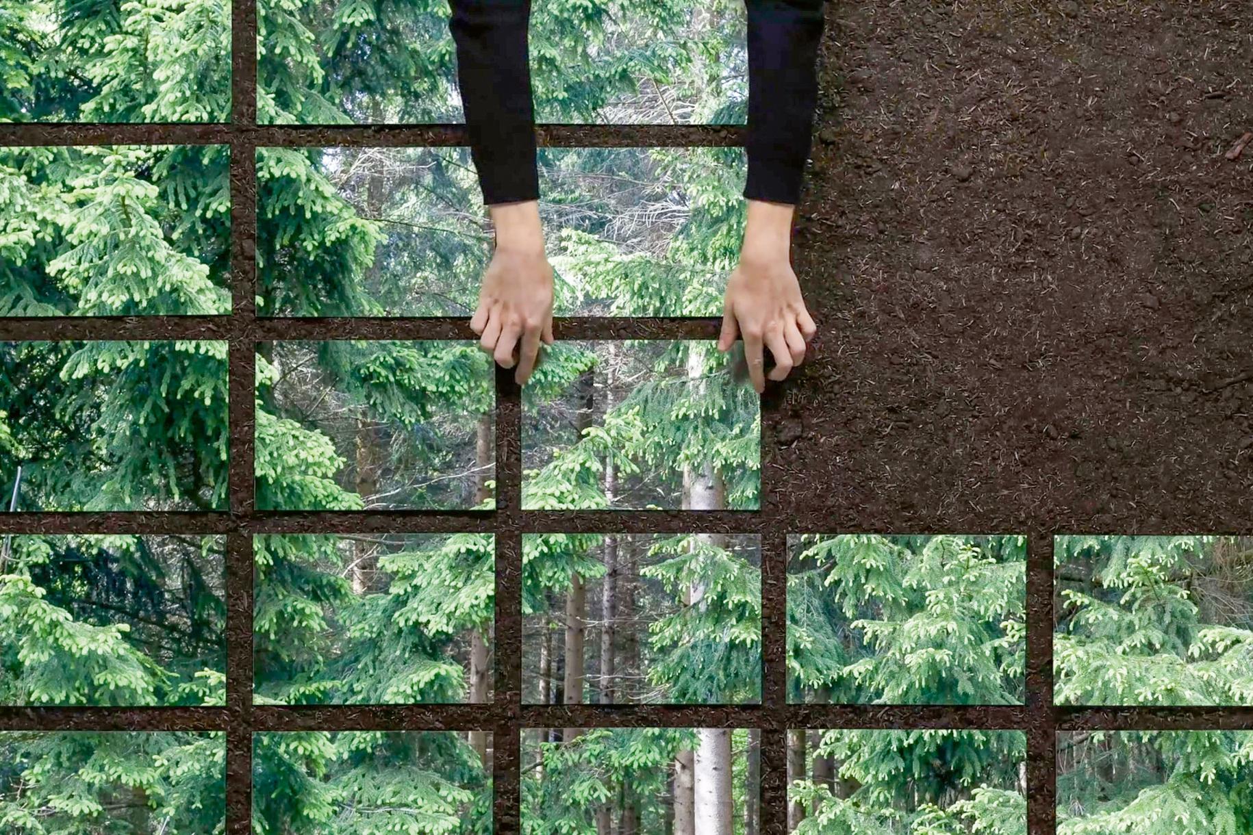 Ausstellung-Formafantasma-Cambio-Baum-Holz-Mensch.jpg