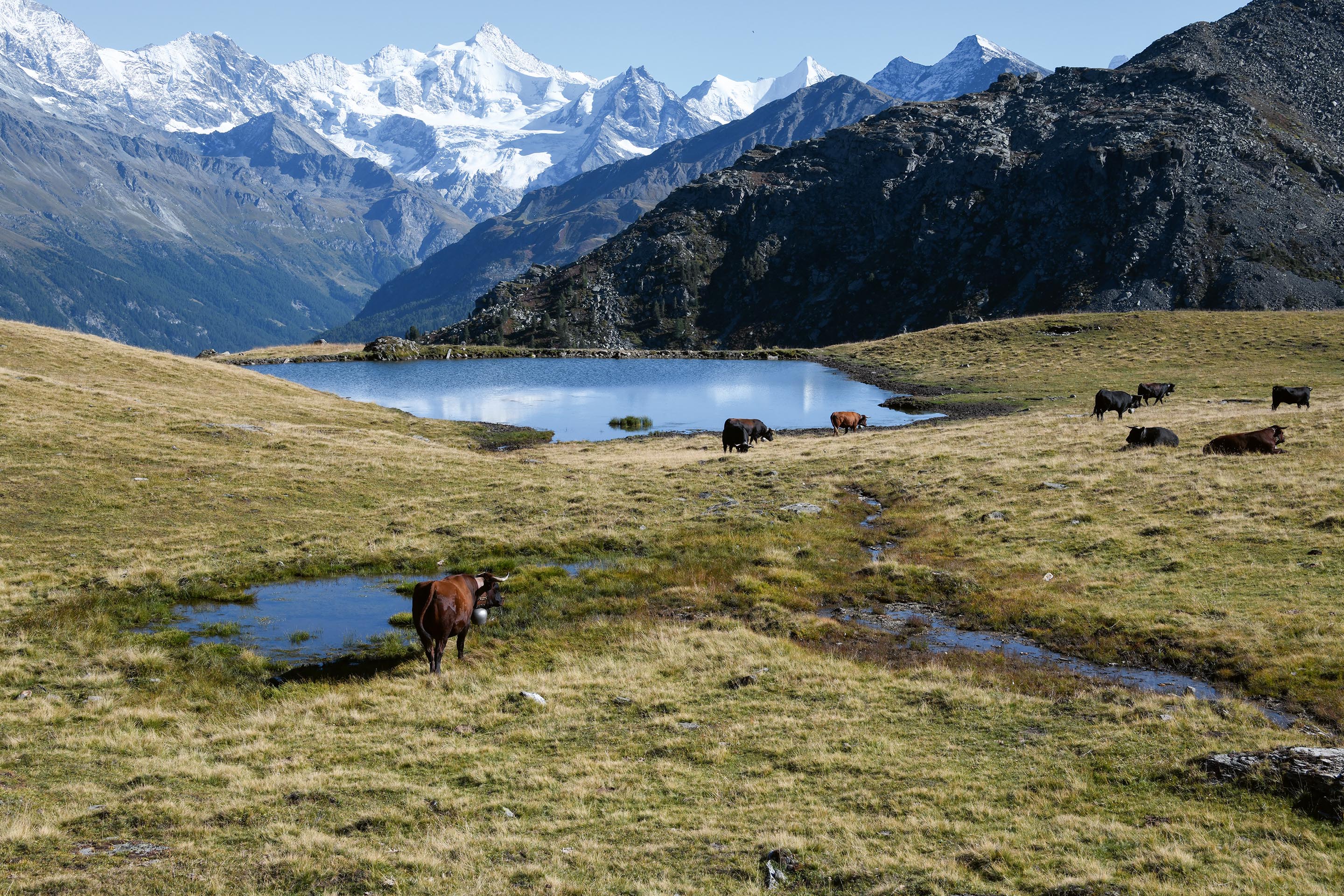 Industrie-ski-nature-occasion-manquée-C