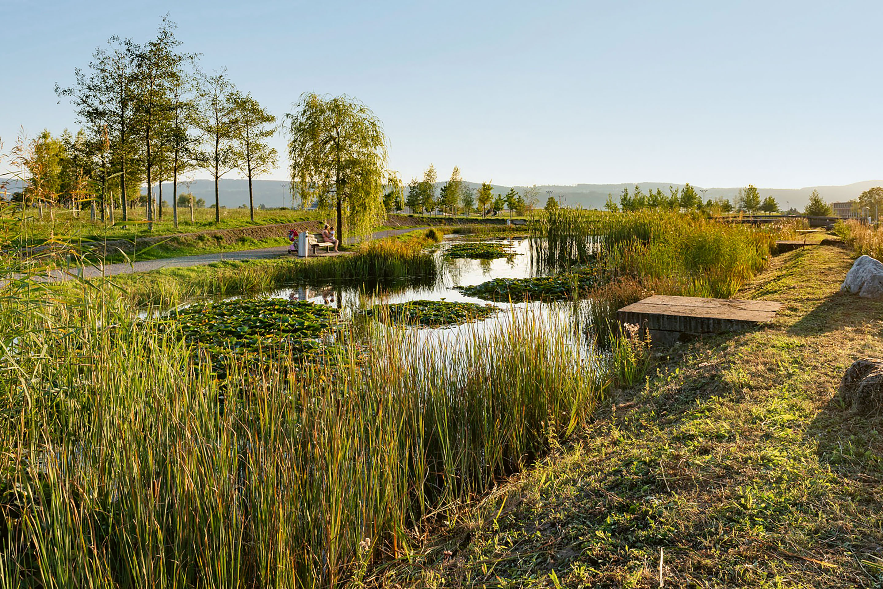 Infrastrutture-dell’acqua-uove-ecologie-progettate-1.jpg