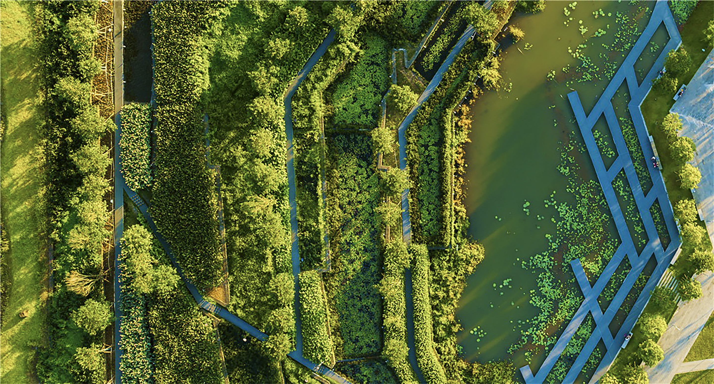 Infrastrutture-dell’acqua-uove-ecologie-progettate-9.jpg