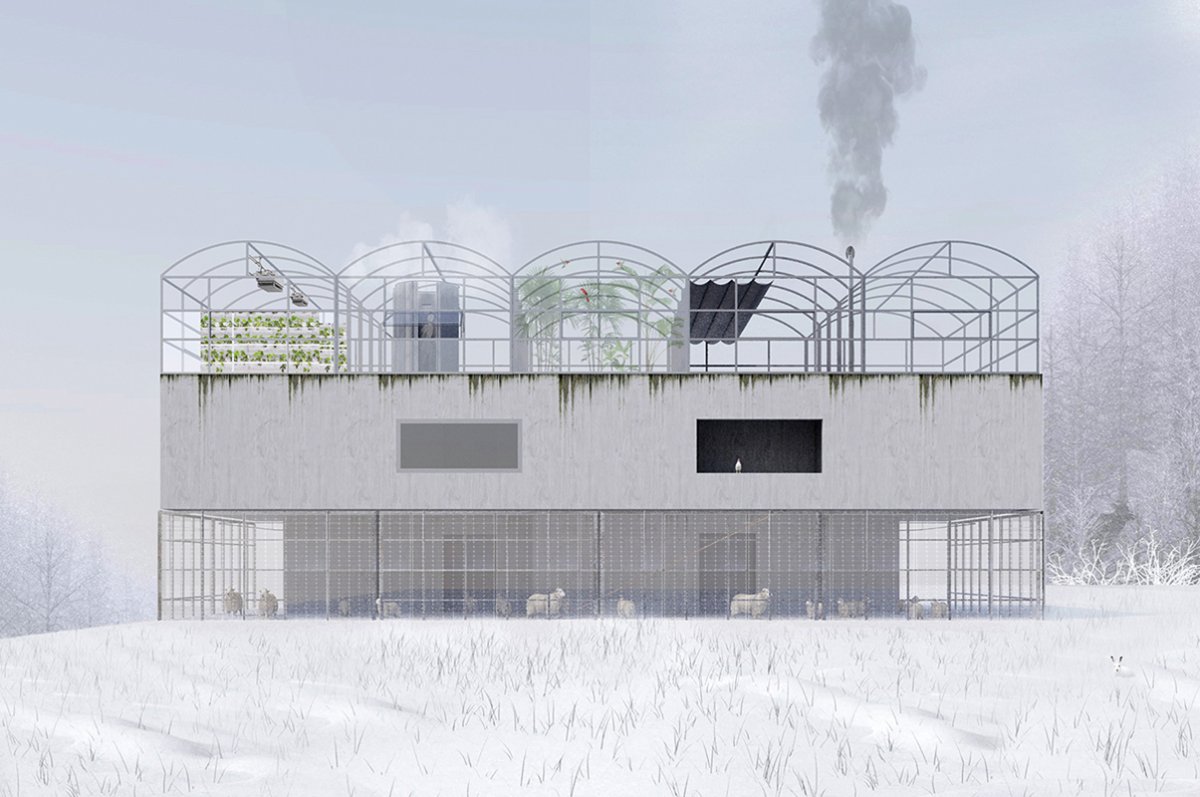 Morger Partner, Haus Bischoffweg (Collage 2021).