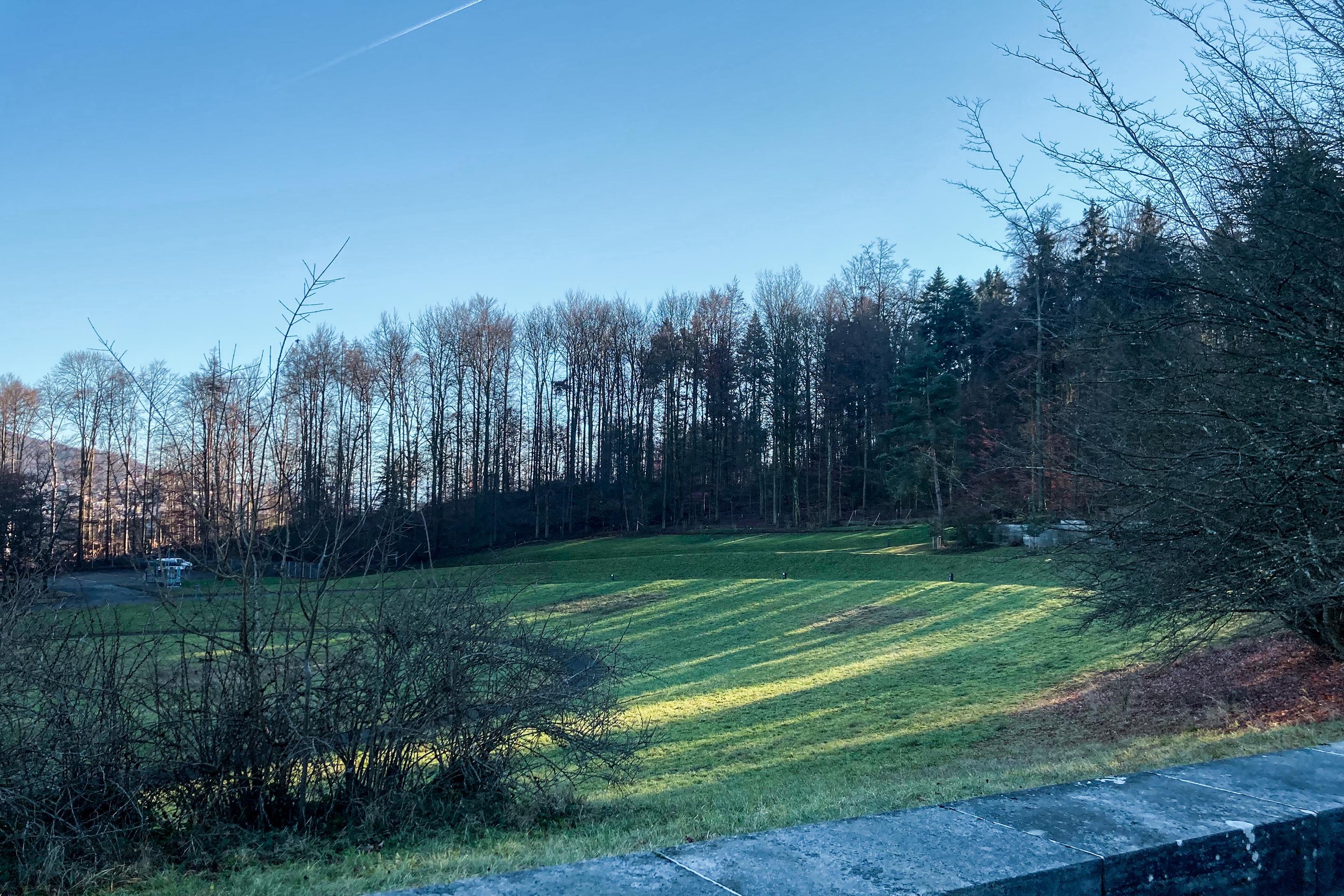 11-3_Spaziergang Alt Oerlikon-Buchegg