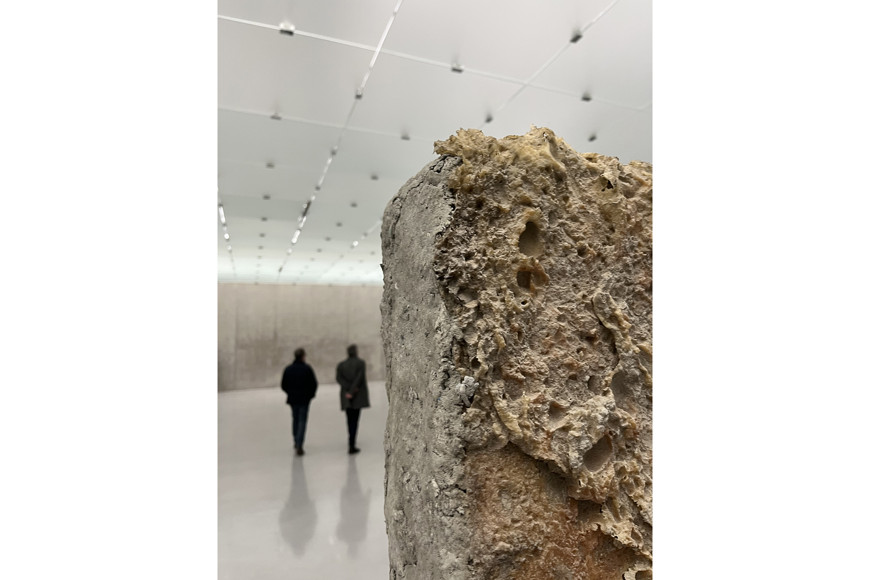 Bregenz-Budor-3