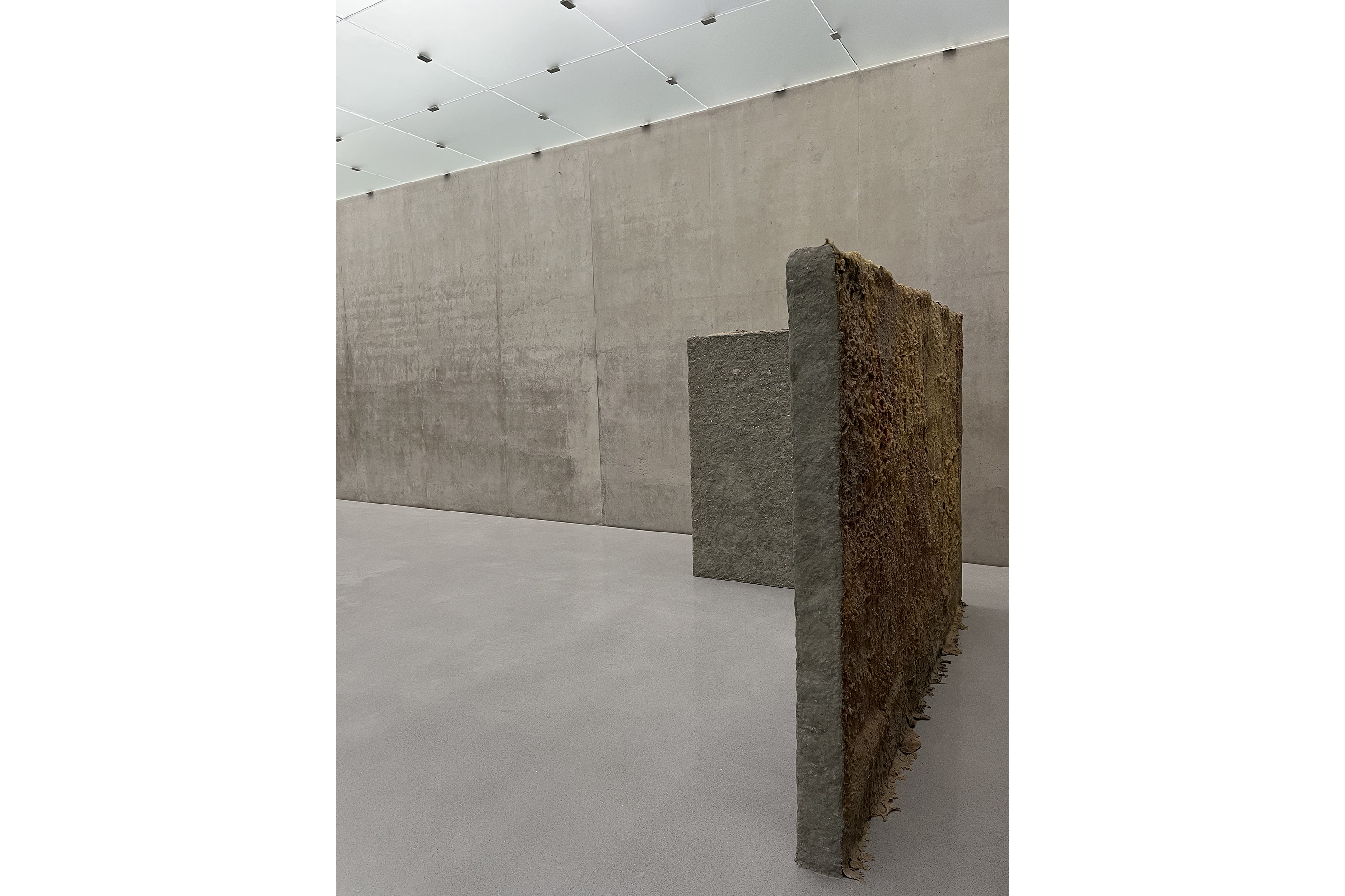 Bregenz-Budor-4