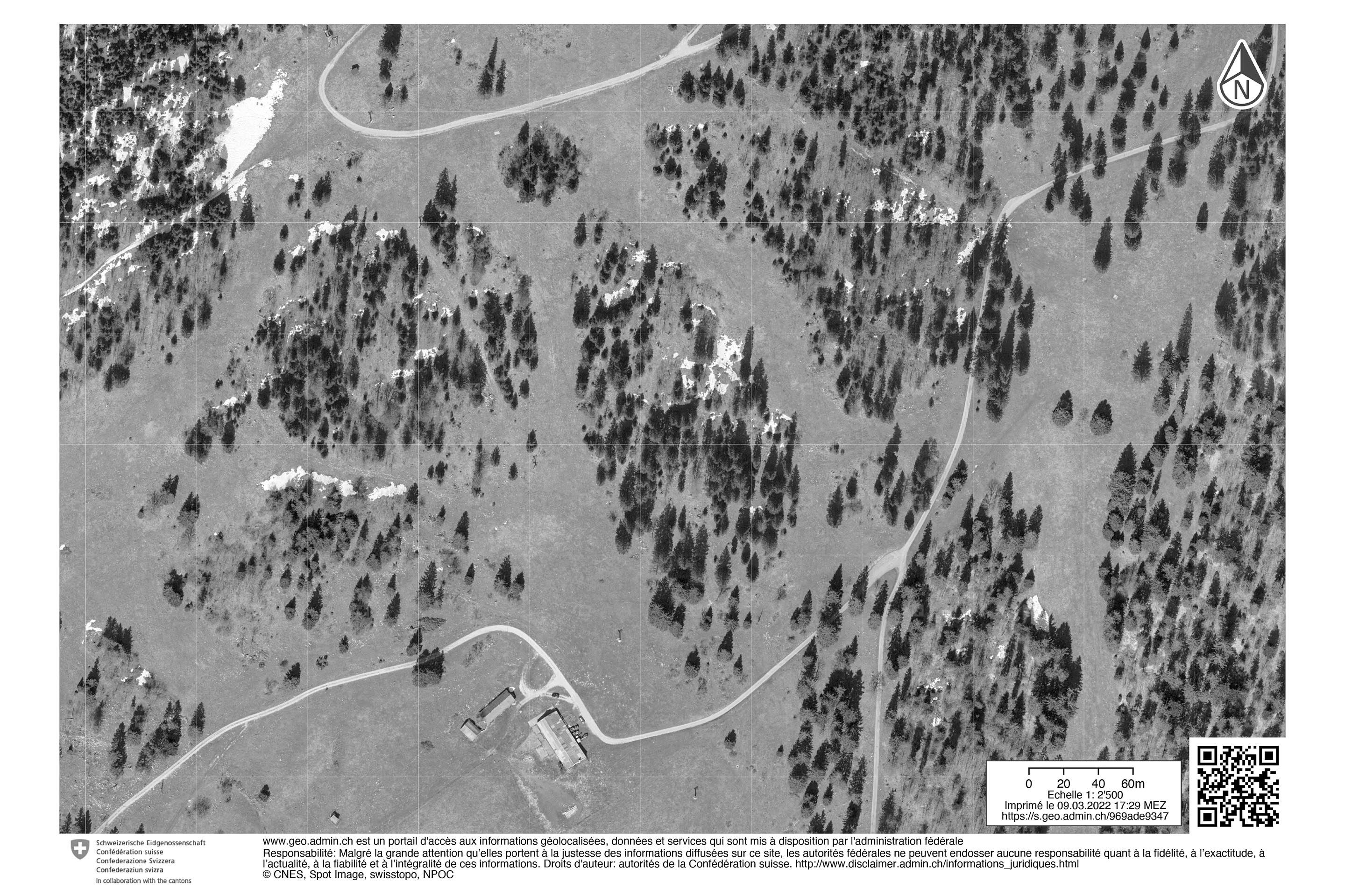 Entre-forêt-et-prairie-pâturages-boisés-Jura-B.jpg