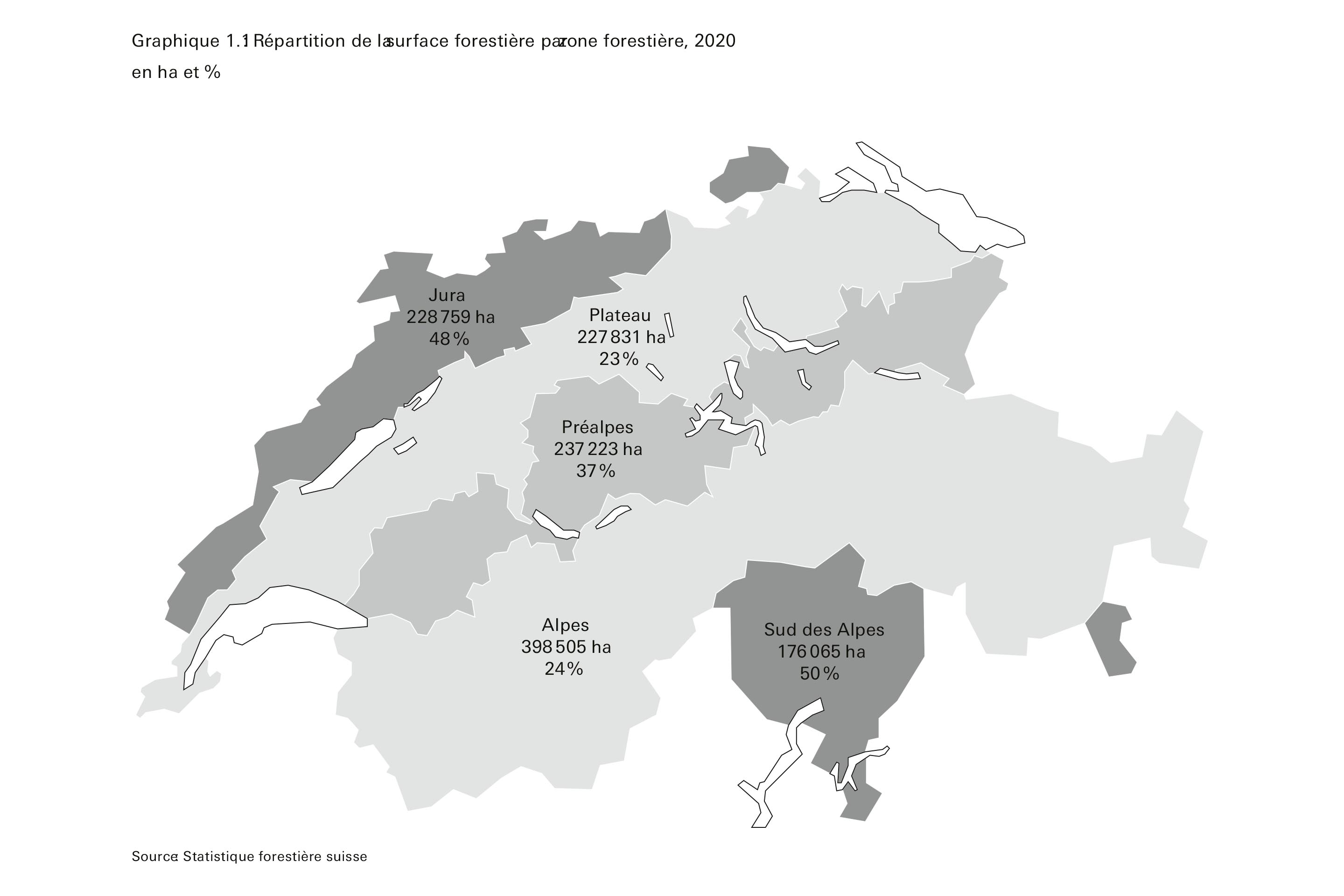 forêts-suisse-de-demain-1.jpg